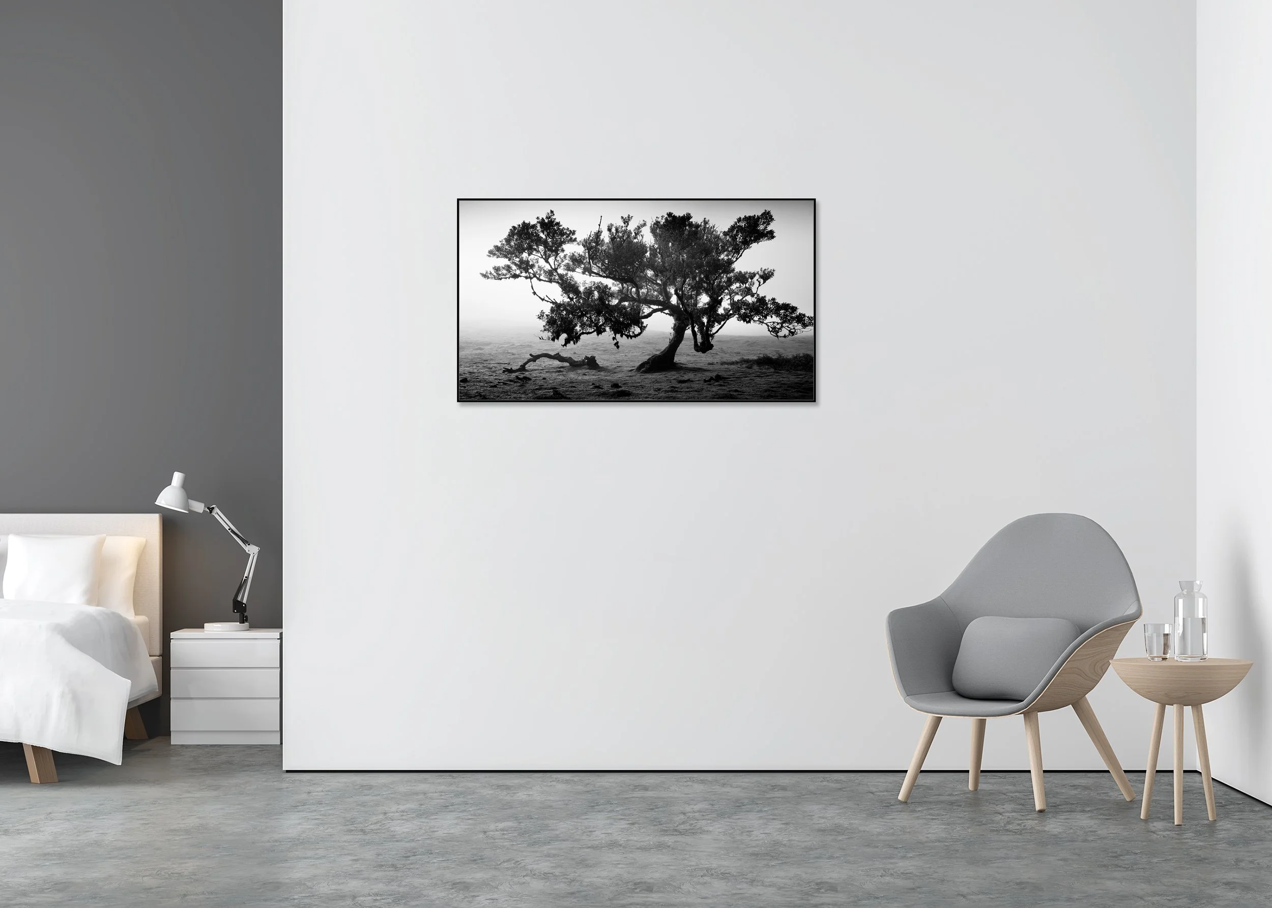 Ancient Laurisilva Forest, Study 16 – black-and-white Dibond print in a black aluminium ArtBox displayed in a minimalist bedroom.