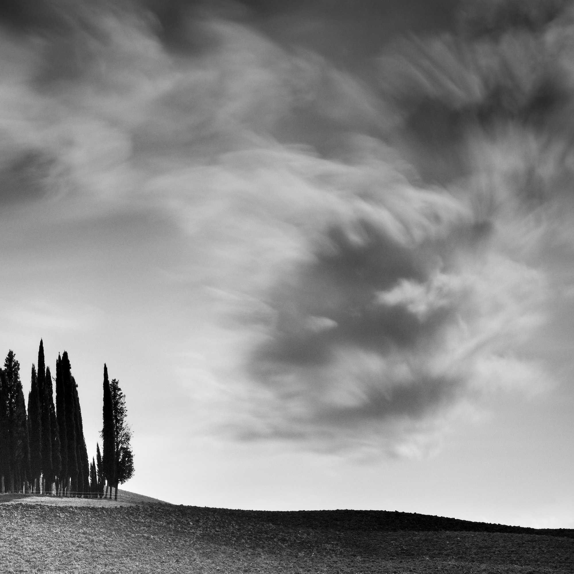 Detail of Cypress Hill Panorama Study 4 by Gerald Berghammer showing Tuscan cypress trees beneath long-exposure clouds.