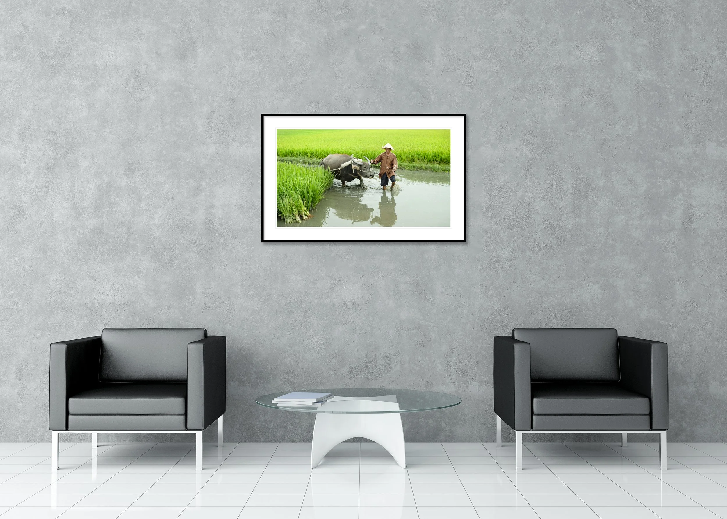 Rice Farmer with Water Buffalo displayed in a modern interior as an archival pigment print in an aluminium frame with a white mount. Photo by Gerald Berghammer.