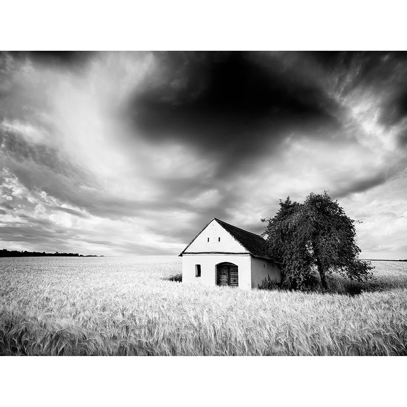 Wine Press House Study 1 – Austria | Gerald Berghammer