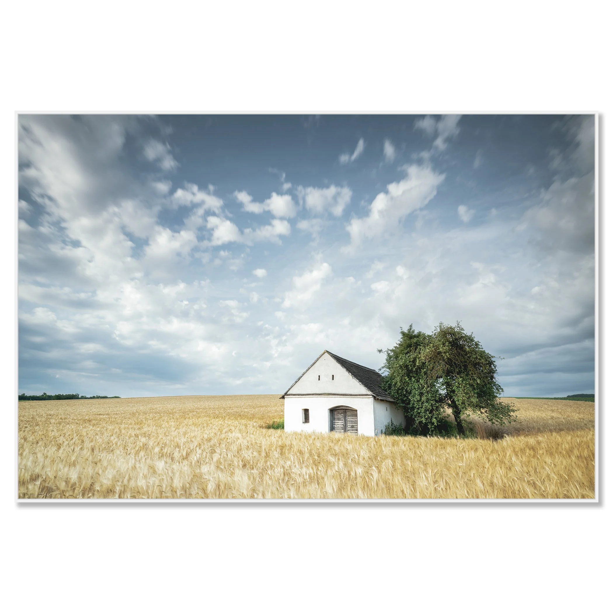 © 2021 Gerald Berghammer - Color Fine Art Landscape Photography. Small wine press in a golden cornfield, beside a large green tree under a partly cloudy sky. Chromaluxe framed white