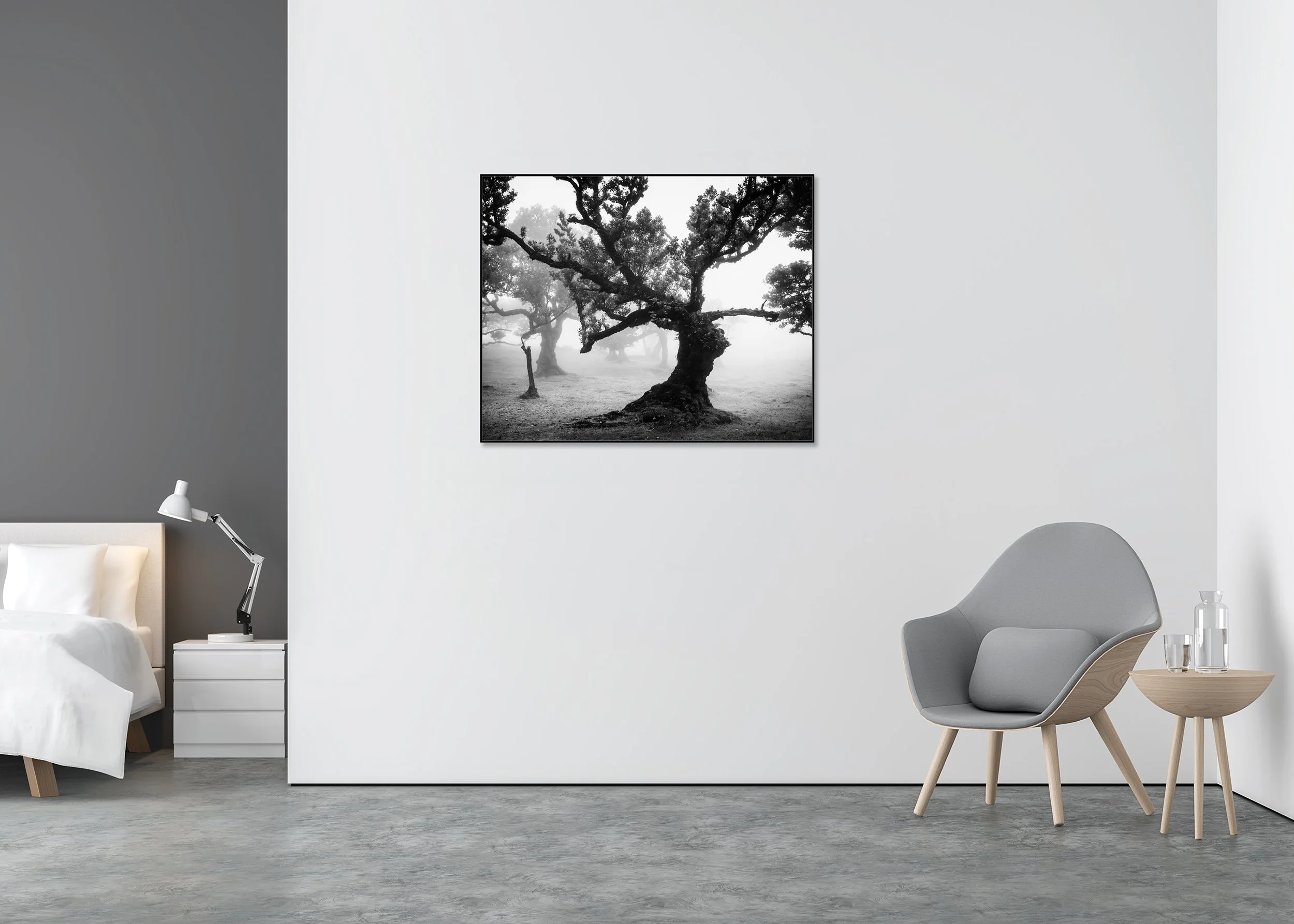 Moody black-and-white photo of a gnarled tree in fog in Madeira’s Laurisilva rainforest, mounted on Dibond in an aluminium ArtBox.