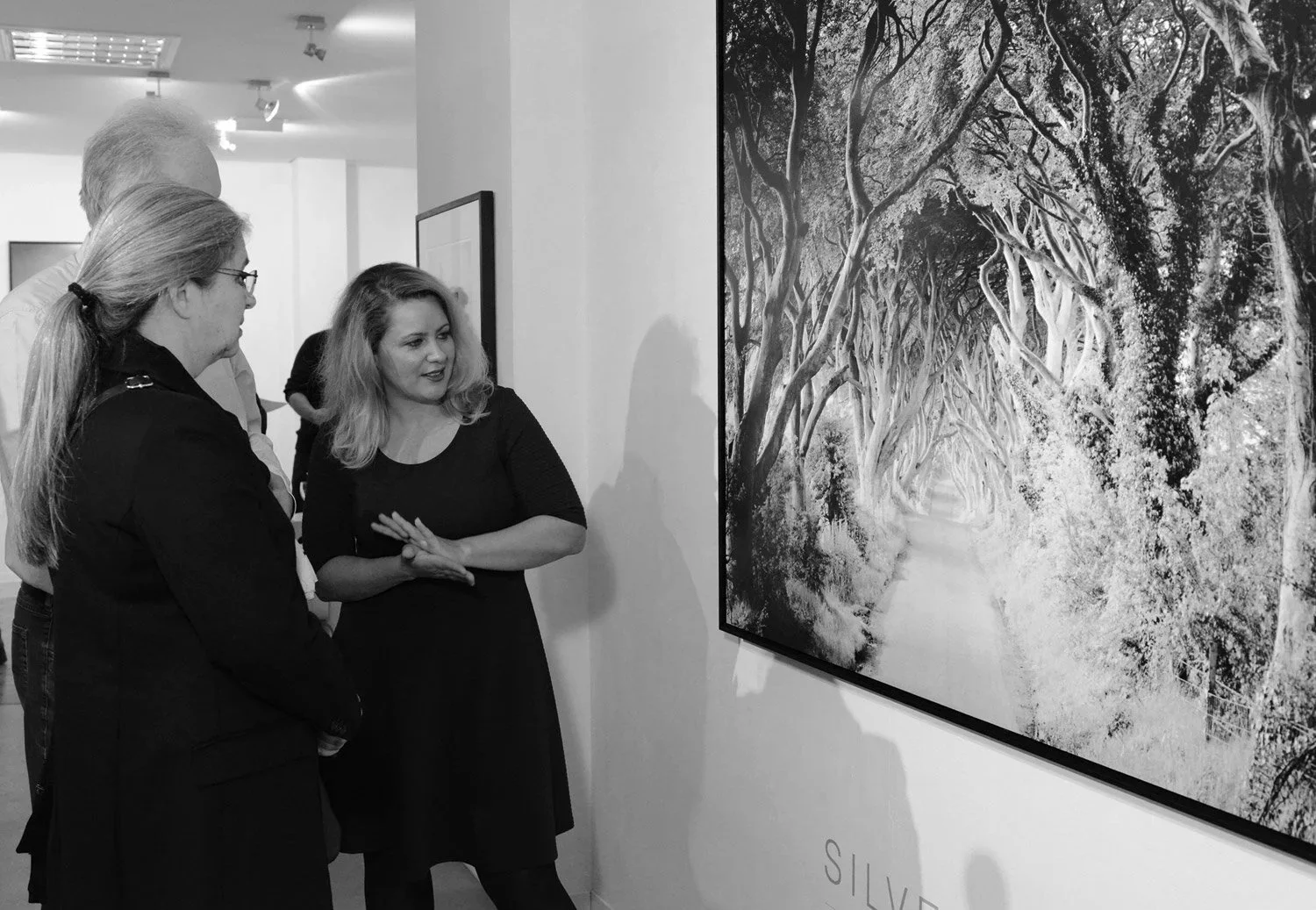 Visitors discussing a large framed black-and-white tree-lined avenue photograph by Gerald Berghammer at ESSENTIAL LIGHT 2018, Galerie STP.