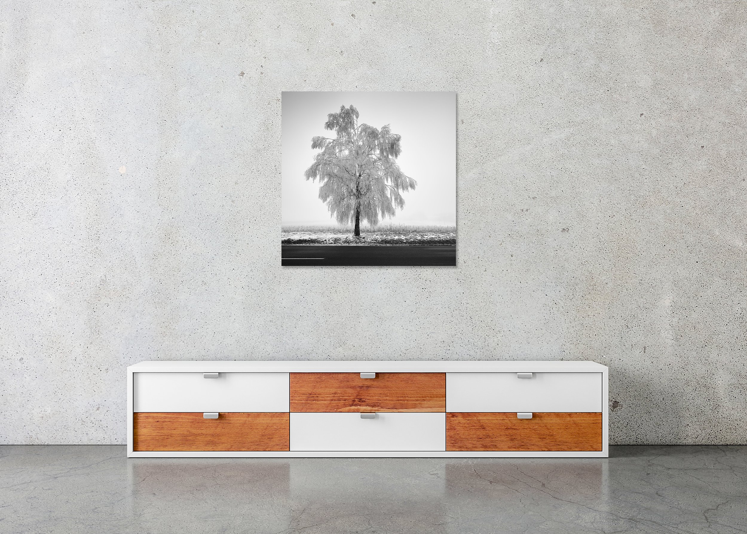 Frozen Birch Tree Study 1 – Austria, frameless black-and-white photo print mounted to aluminium Dibond.