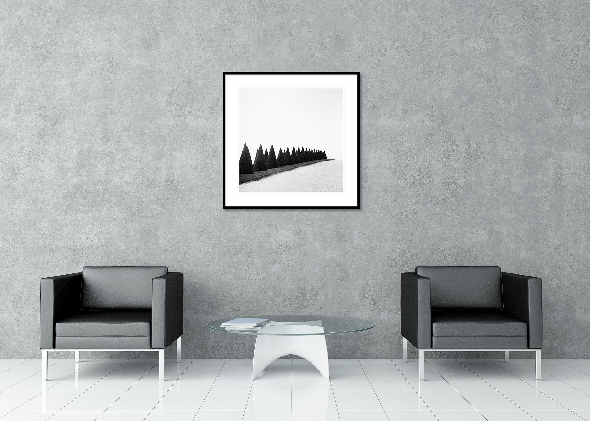 Hedges, Study 1 displayed in a modern interior as an archival pigment print in a black aluminium frame with a white mount by Gerald Berghammer.