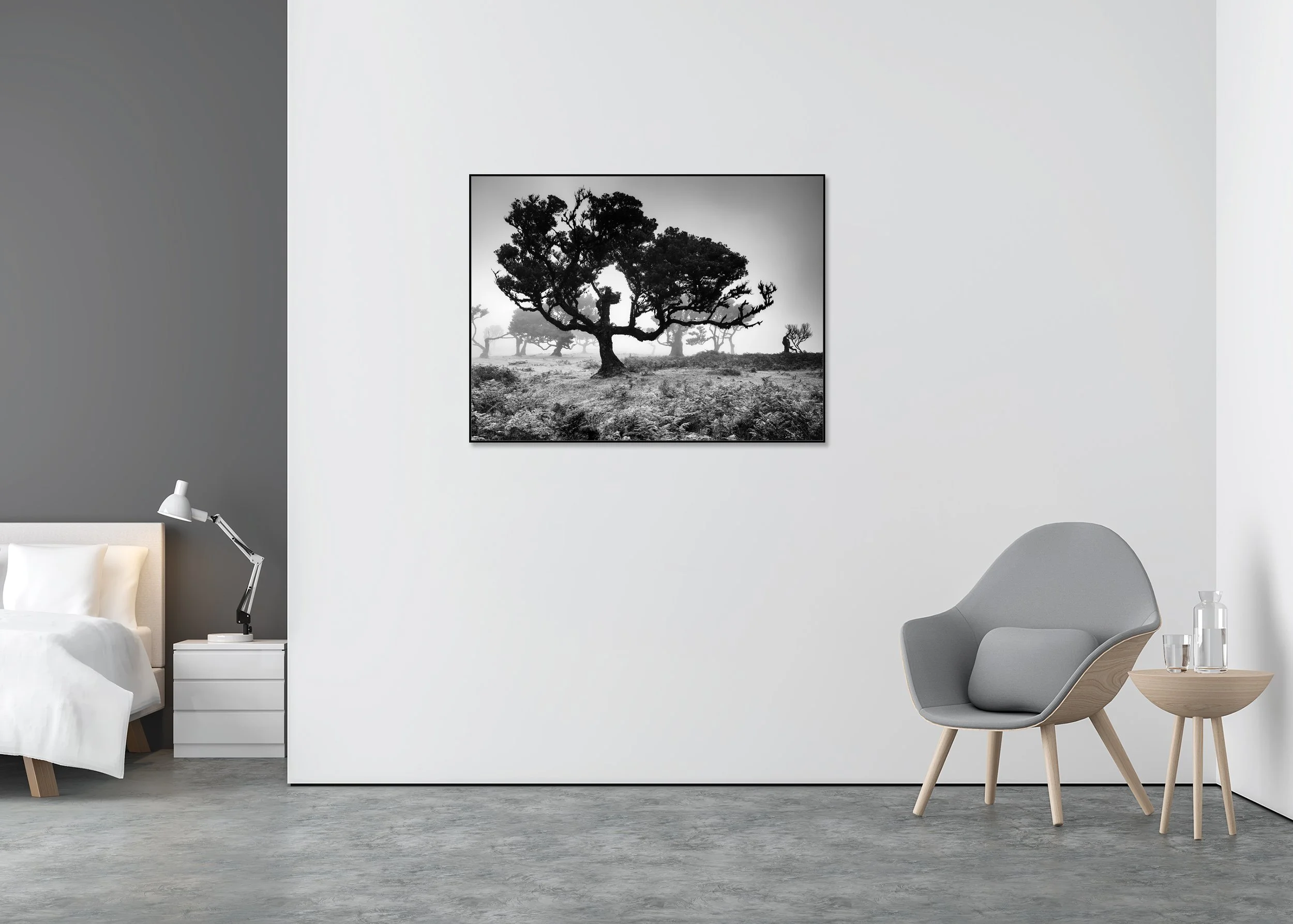 Old wind-shaped trees in a foggy landscape in Fanal, Madeira, black and white photo print mounted to Dibond in an aluminium ArtBox