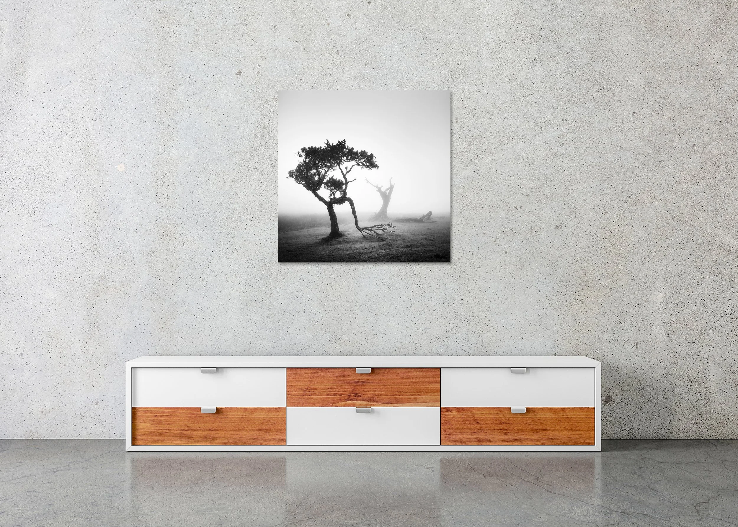 Ancient Laurel Cloud Forest Study 1 by Gerald Berghammer, frameless Dibond fine art photograph displayed above a sideboard in a contemporary interior.