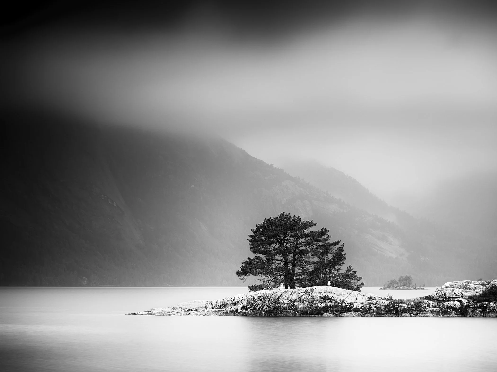 Misty monochrome landscape showing a solitary tree on a rocky island surrounded by calm lake water and mountains.
