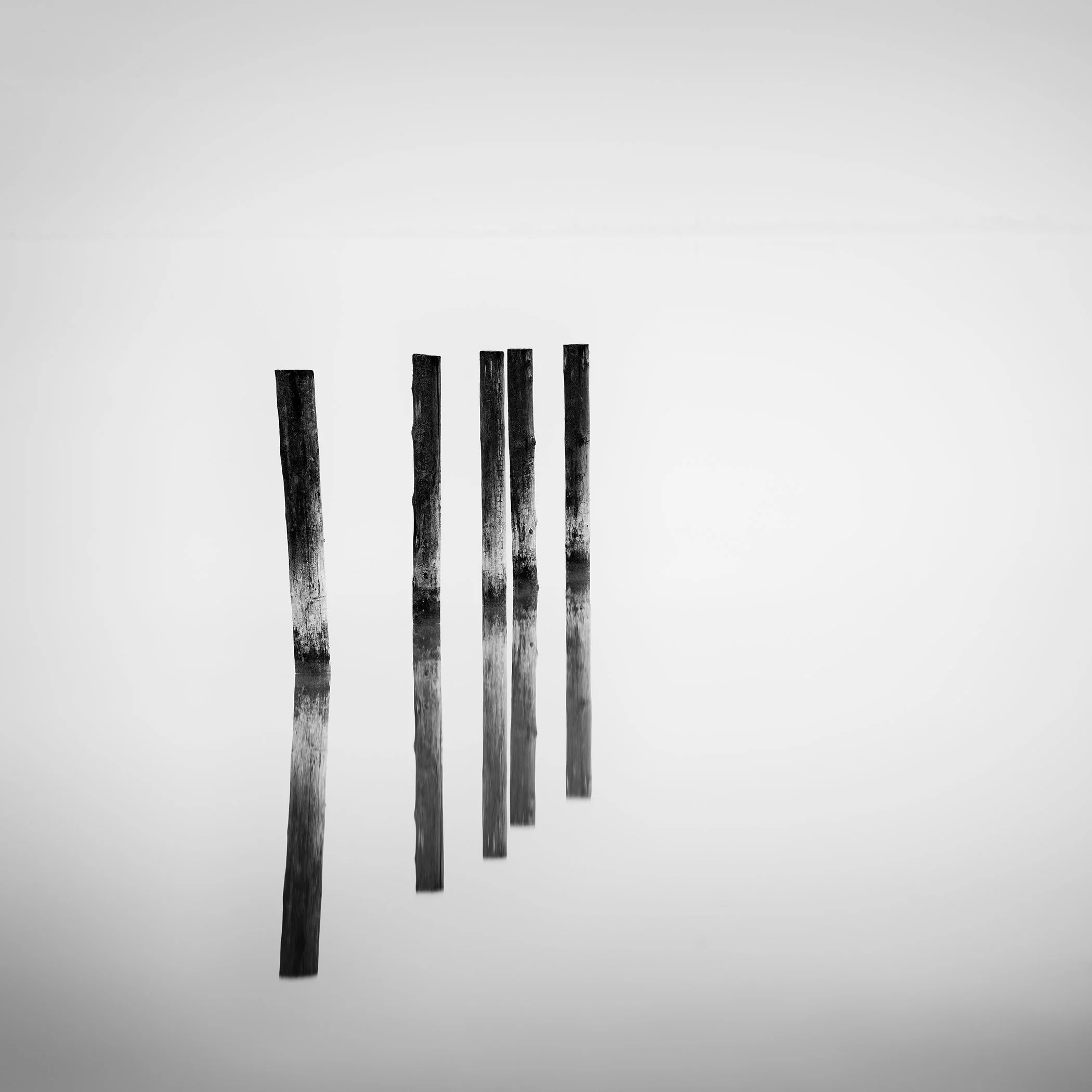 Five weathered wooden poles in a row with reflections, shown in a monochrome minimalist composition