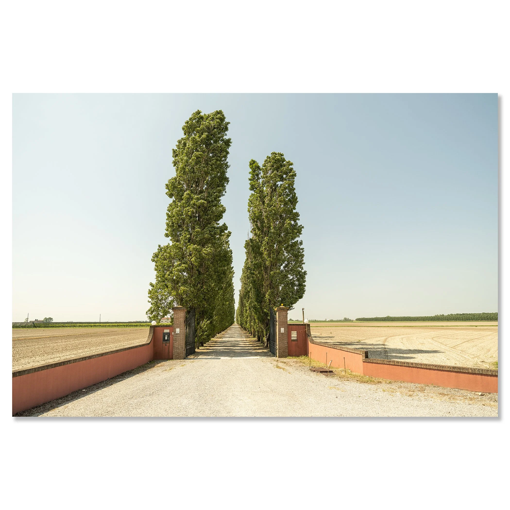 The Way to the Vineyard mounted on aluminium Dibond, frameless wall display.