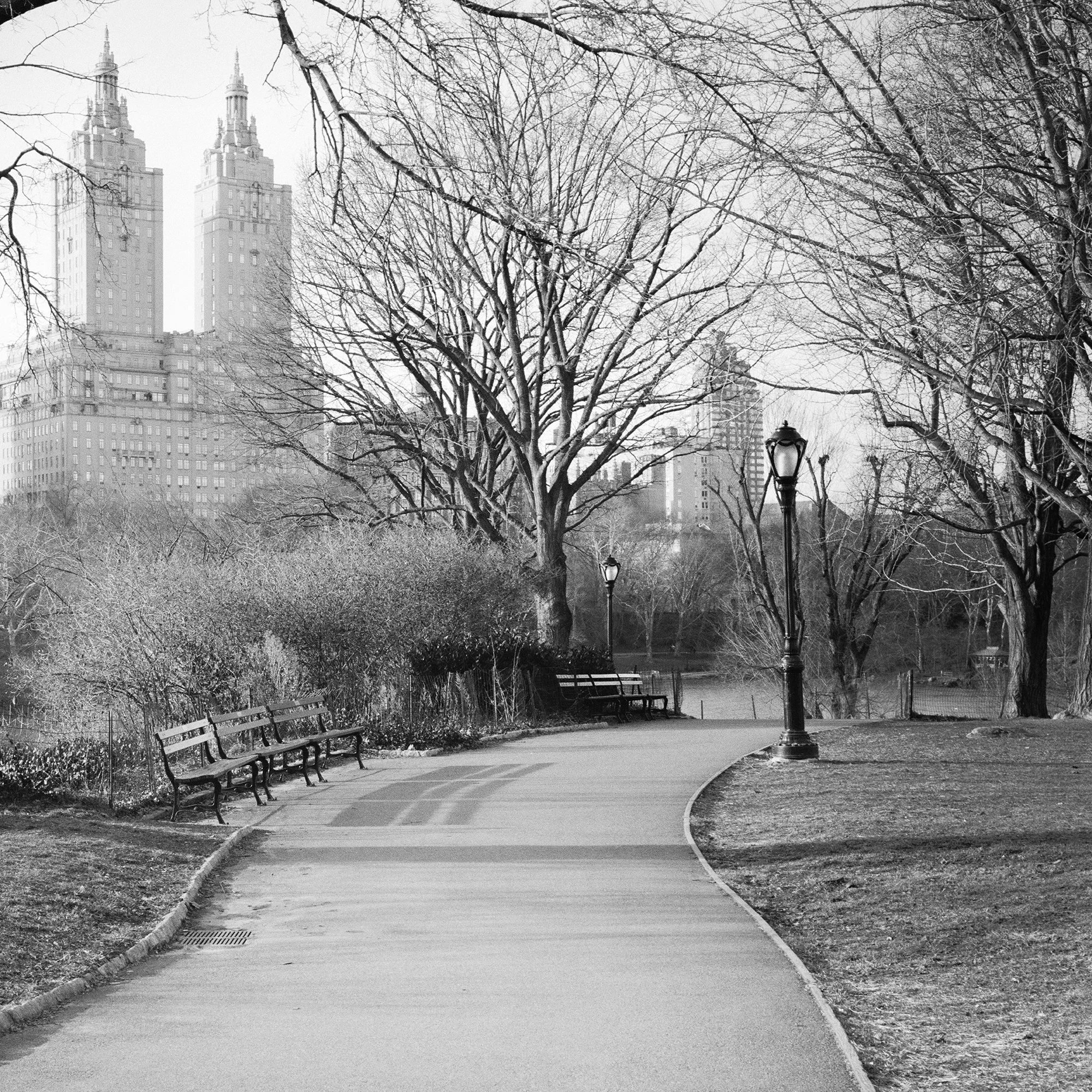 Detail of Central Park trees, pathway and lamps in The San Remo Study 2 by Gerald Berghammer, New York City.
