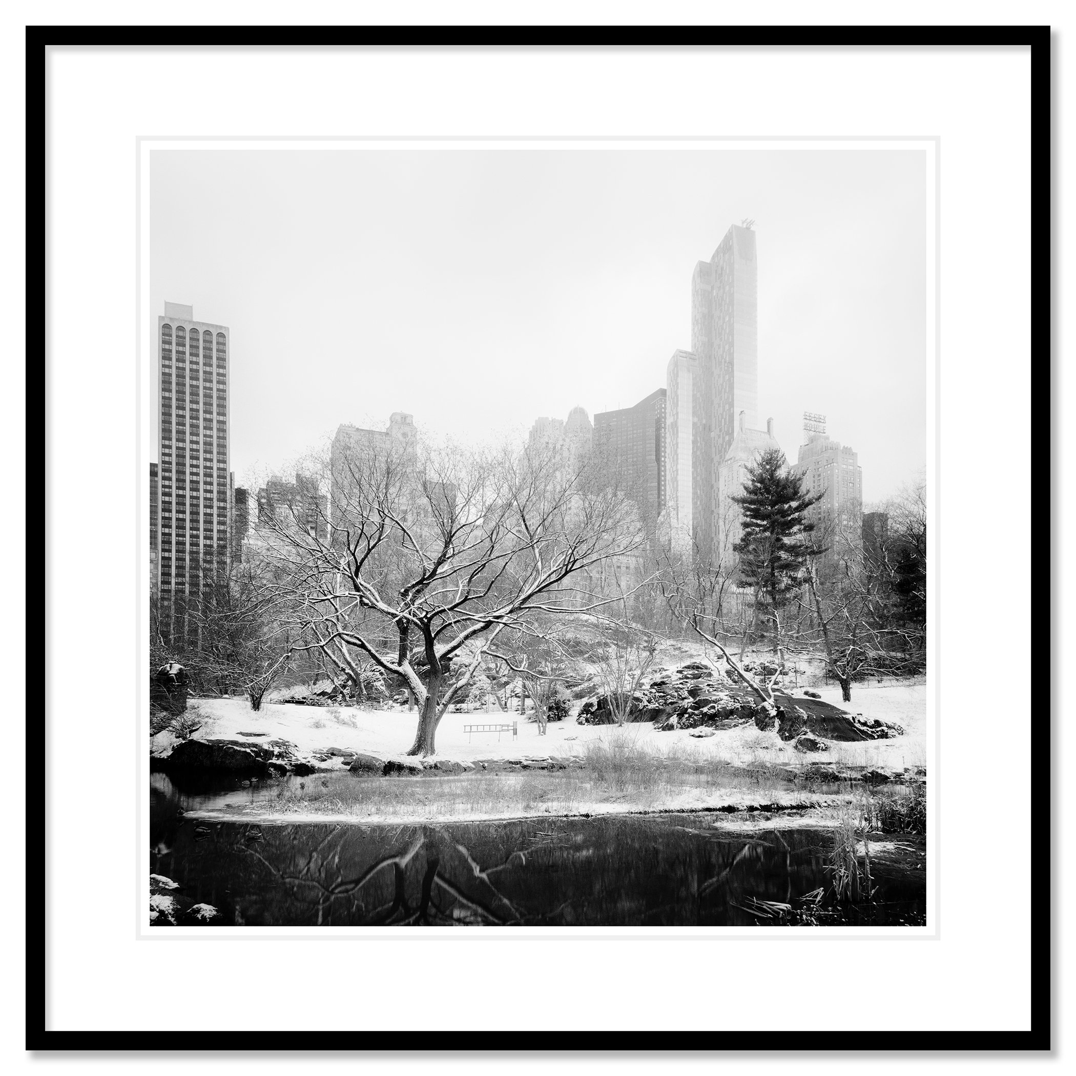 Snow-Covered Central Park Study 7 by Gerald Berghammer, black-and-white fine art print in a black aluminium frame with white mount.