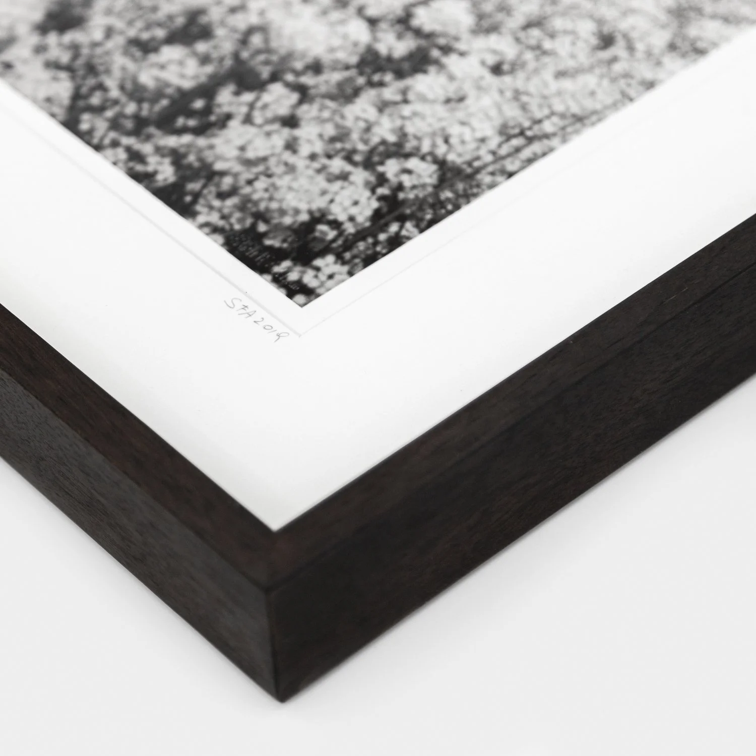 Close-up of the natural-white archival mount and dark-brown wooden frame of Brassica Napus Study 1 – Gerald Berghammer.