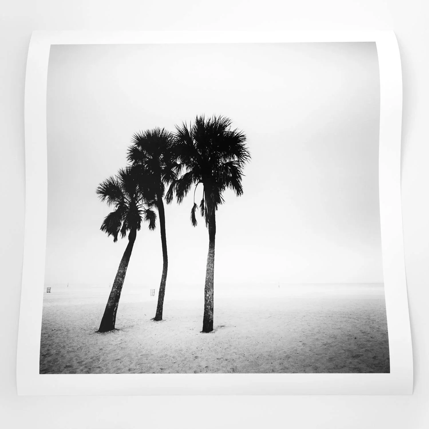 silverfineart-gerald-berghammer-palm-beach-study-1-florida-usa-03.jpg
