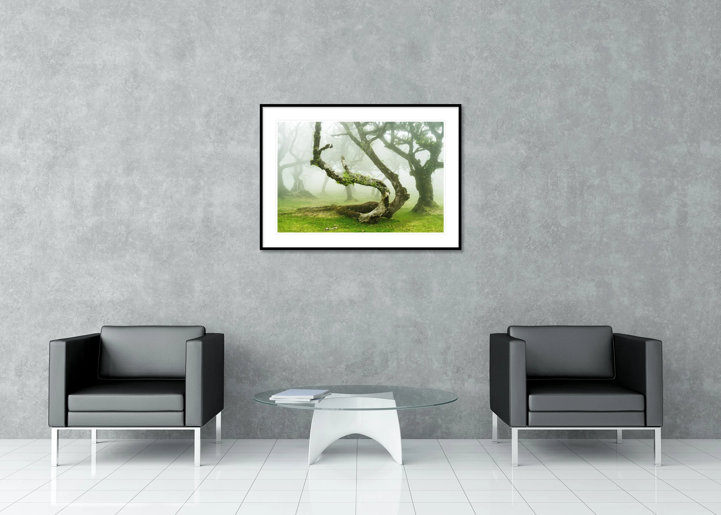 Mystical Twisted Laurel Trees Study 1 displayed in a modern interior as an archival pigment print in a black aluminium frame with a white mount by Gerald Berghammer.