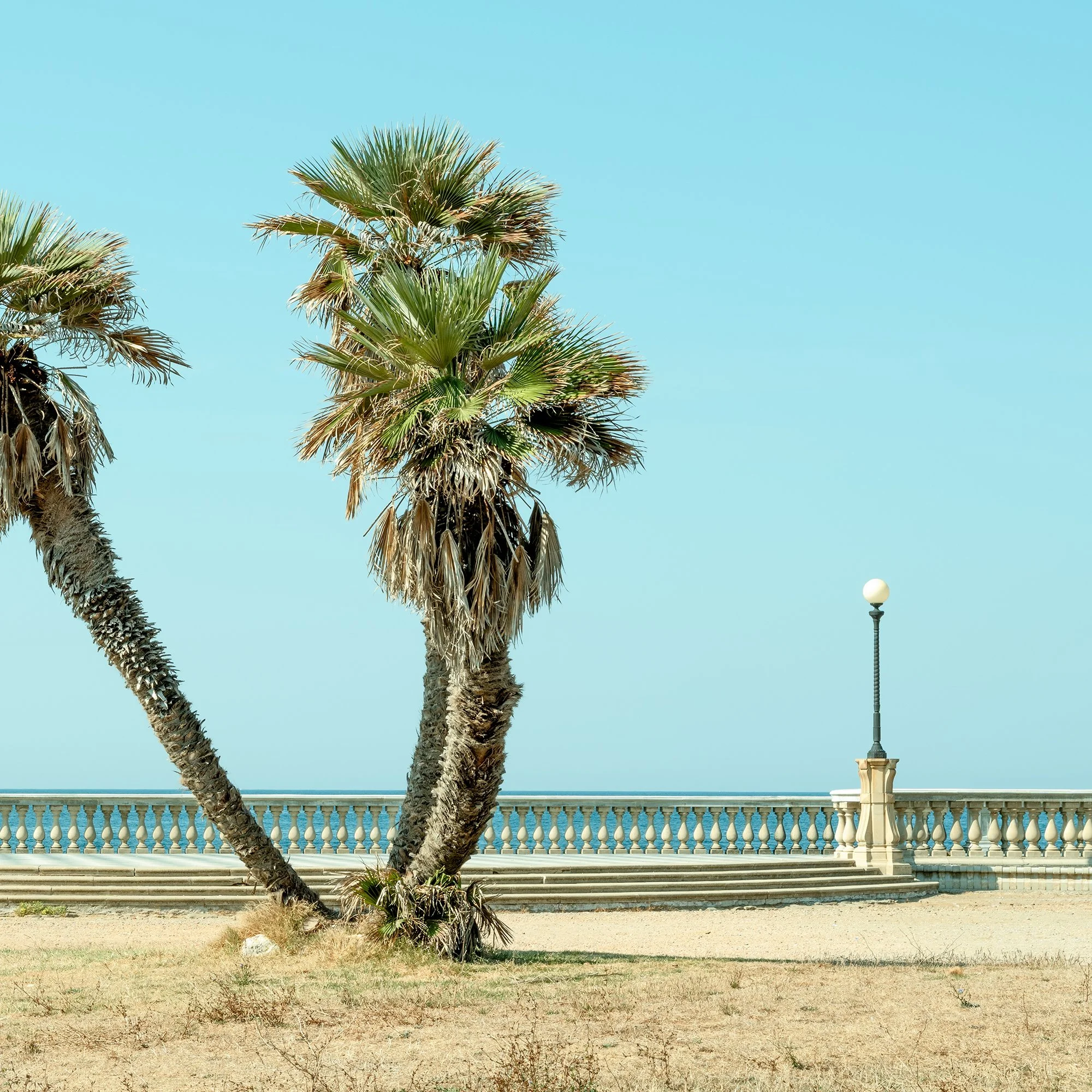 Detail of Twin Palms by the Sea – Tuscany, showing palm leaves, blue sky and seafront balustrade, photo by Gerald Berghammer.