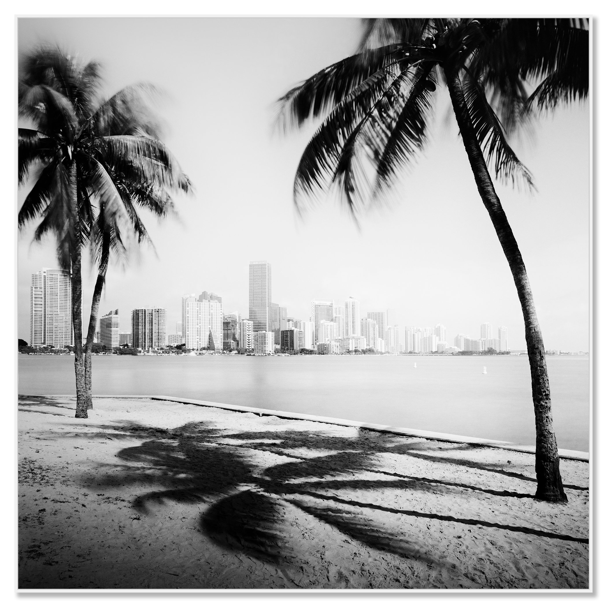 Gerald Berghammer - Black and white cityscape photography. Beach with palm trees in the foreground and the city skyline of Miami Beach in the background. Chromaluxe framed white