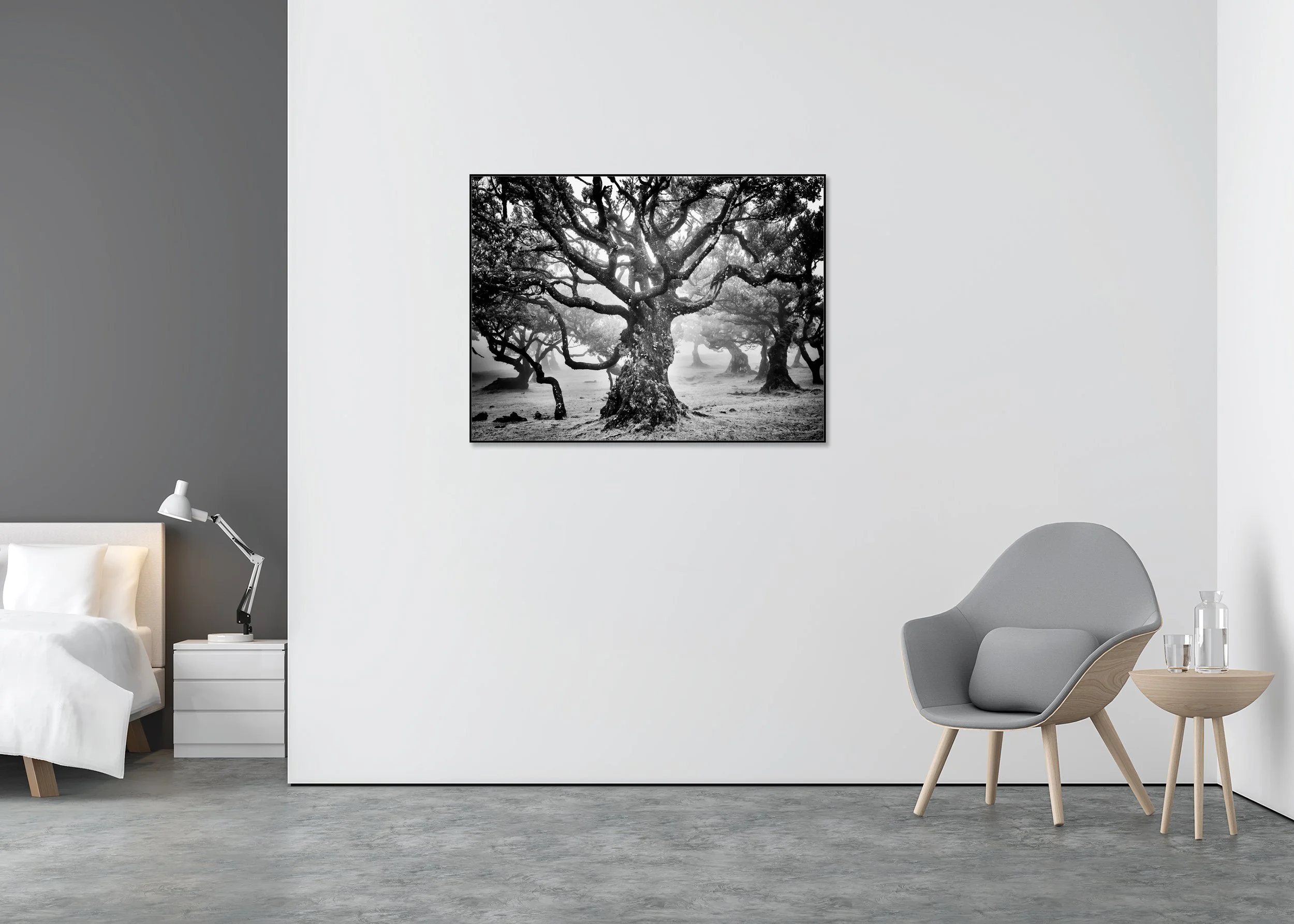 Ancient Laurisilva Forest Study 7 displayed in a modern interior, mounted on aluminium Dibond in a black ArtBox frame. Photo by Gerald Berghammer.