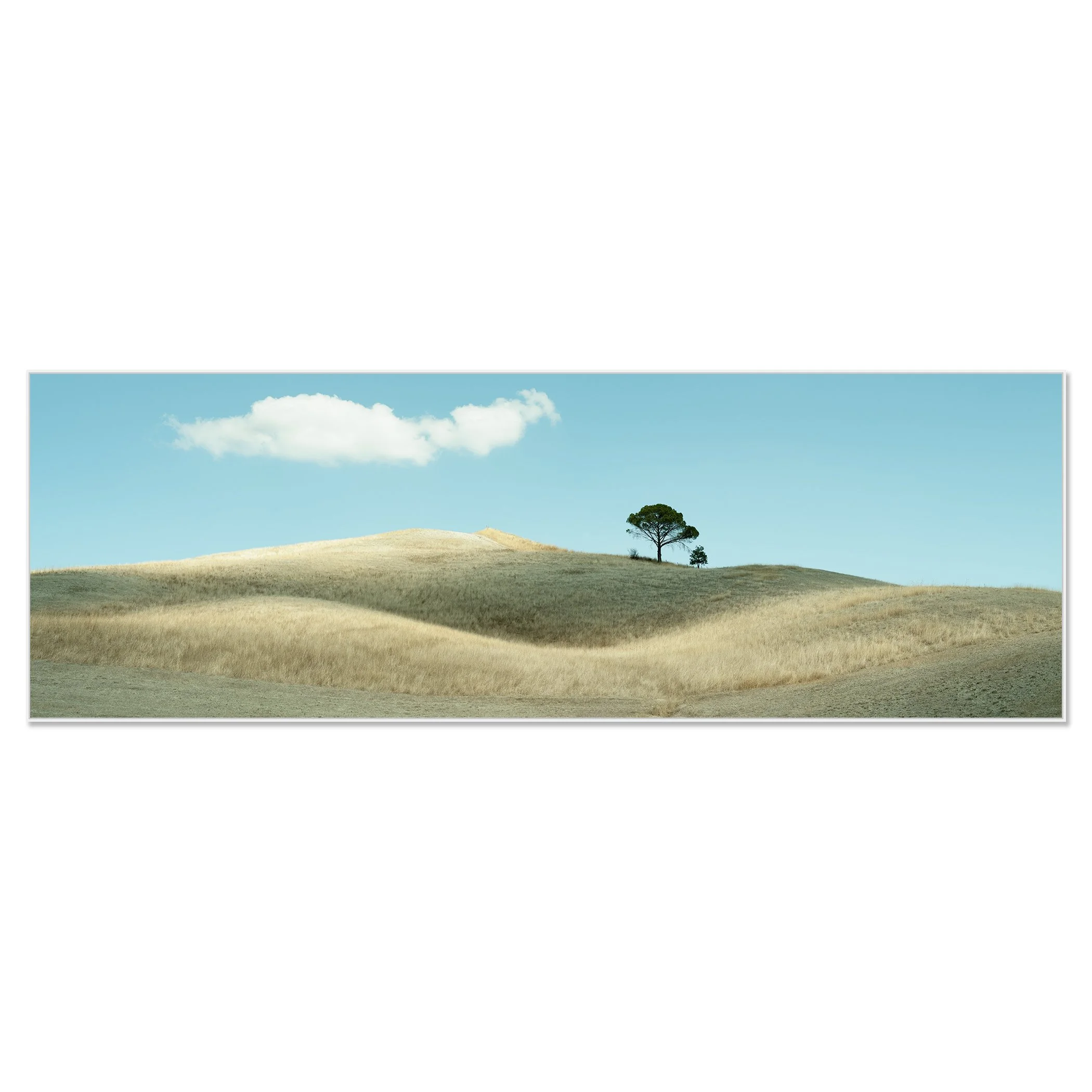 Scenic Tuscany countryside with sunlit hills, a lone tree, and clear blue sky – framed ArtBox white