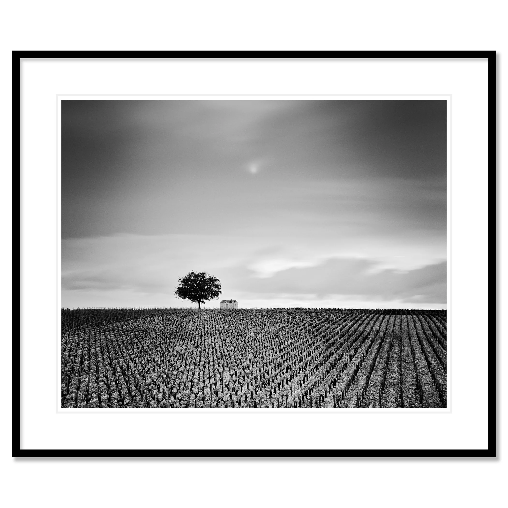 Champagne Paradise Study 2 in black aluminium frame with white mount by Gerald Berghammer