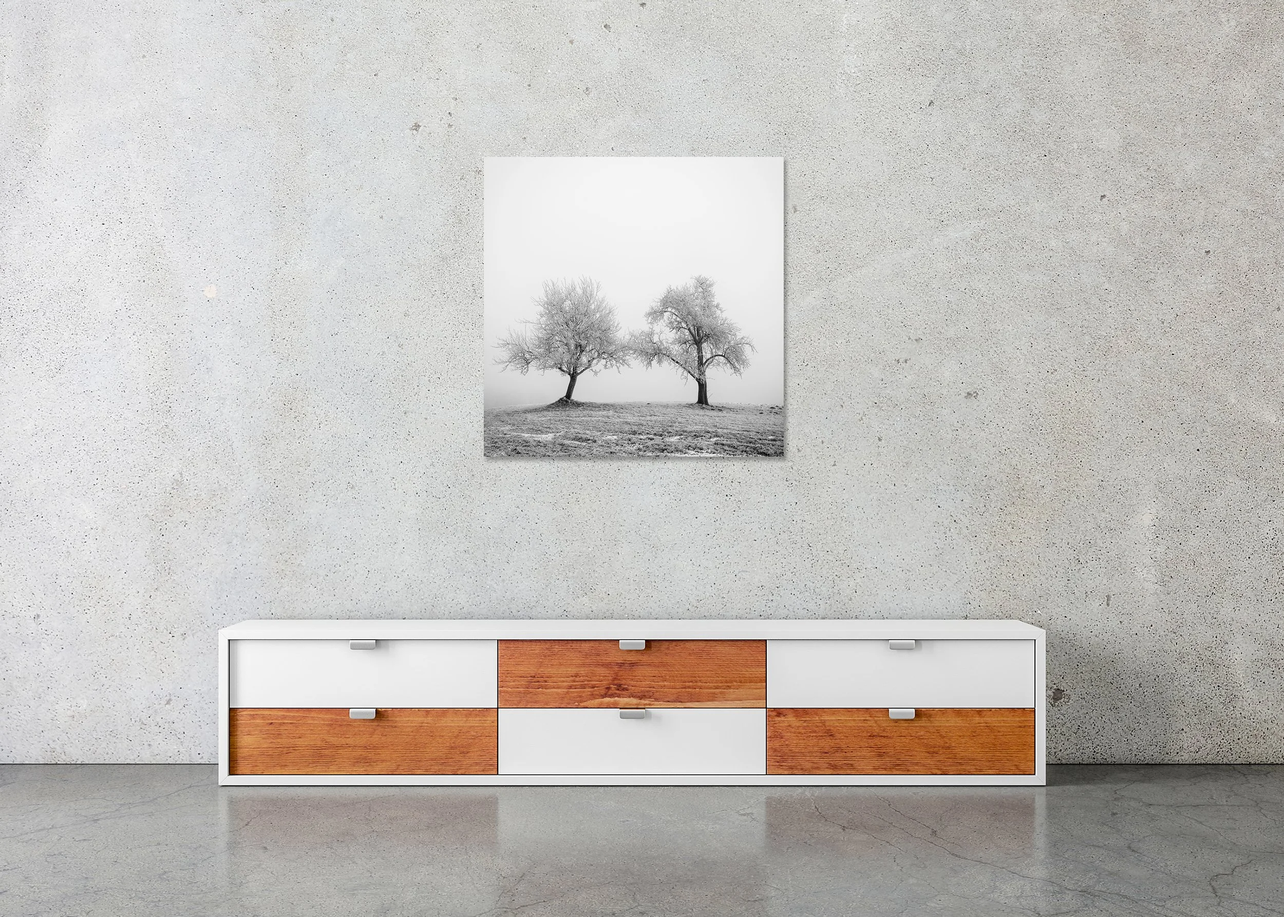 ChromaLuxe frameless metal print: minimalist black-and-white winter landscape of two frost-covered trees on a snowy hill, branches reaching.