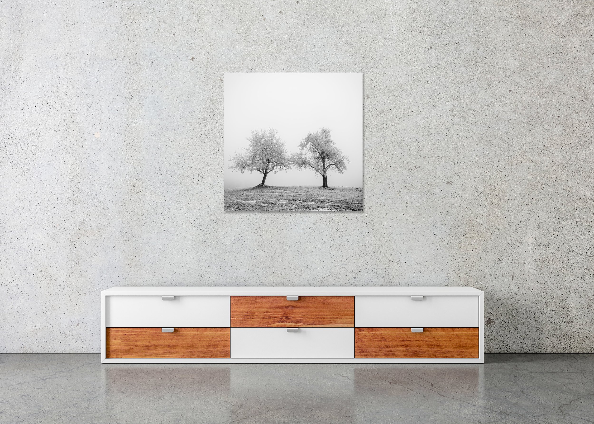 Minimalist black-and-white winter landscape photo of two frost-covered trees on a snowy hill, mounted to Dibond, frameless