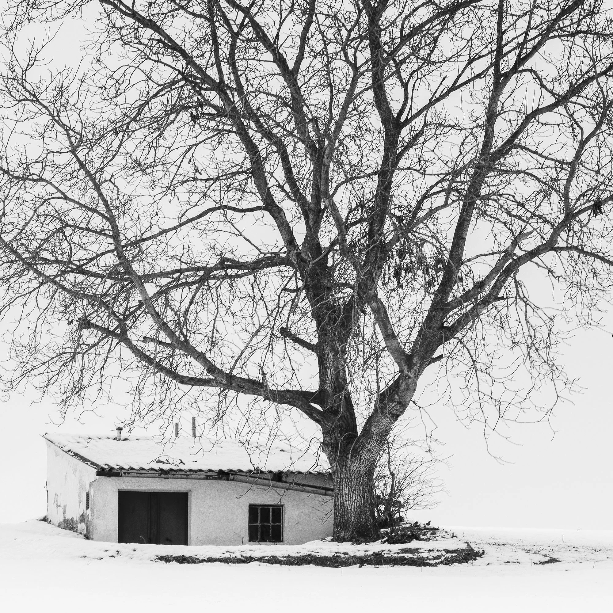Minimalist winter farmland photography detail showing snow, rural architecture and negative space by Gerald Berghammer.