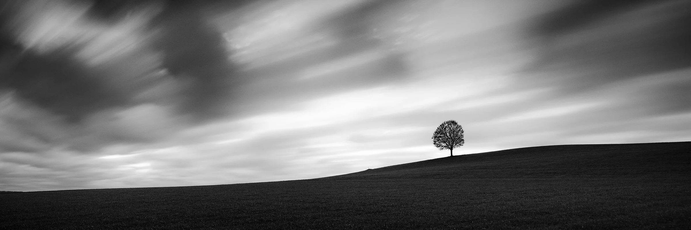Turbulent Times Panorama Study 2 by Gerald Berghammer, black-and-white panoramic photograph of a solitary tree on a dark field beneath dramatic clouds in Austria.