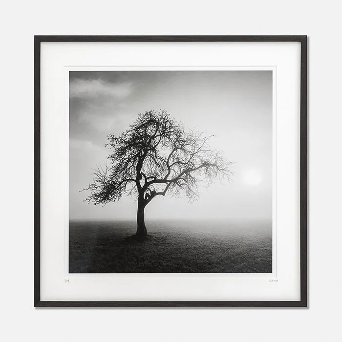 Foggy Morning Study 1, Austria, Edition 3/9