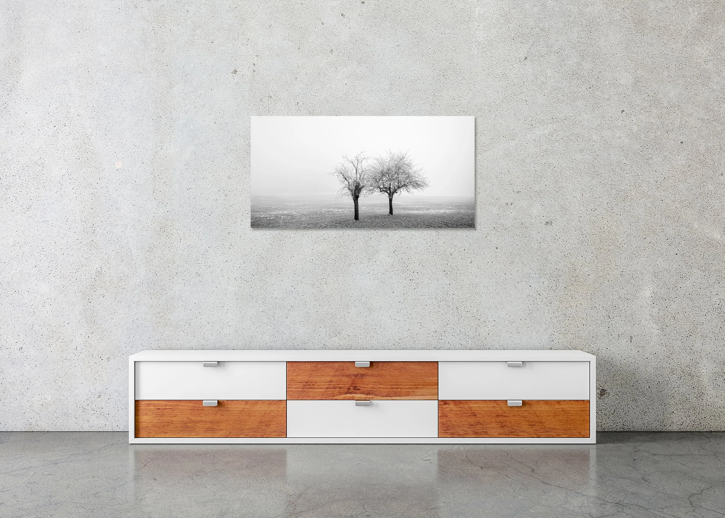 Frozen Trees in a Field Panorama Study 1 displayed in a modern interior as a frameless black-and-white aluminium Dibond print by Gerald Berghammer.