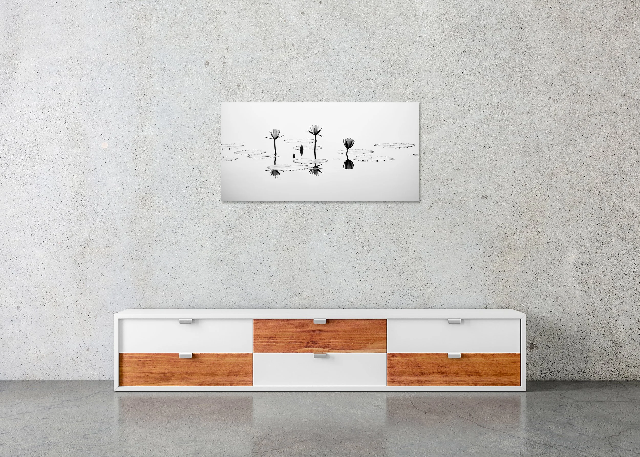 Black and white photograph of blooming lotus flowers on a quiet pond, photo print mounted to Dibond, frameless