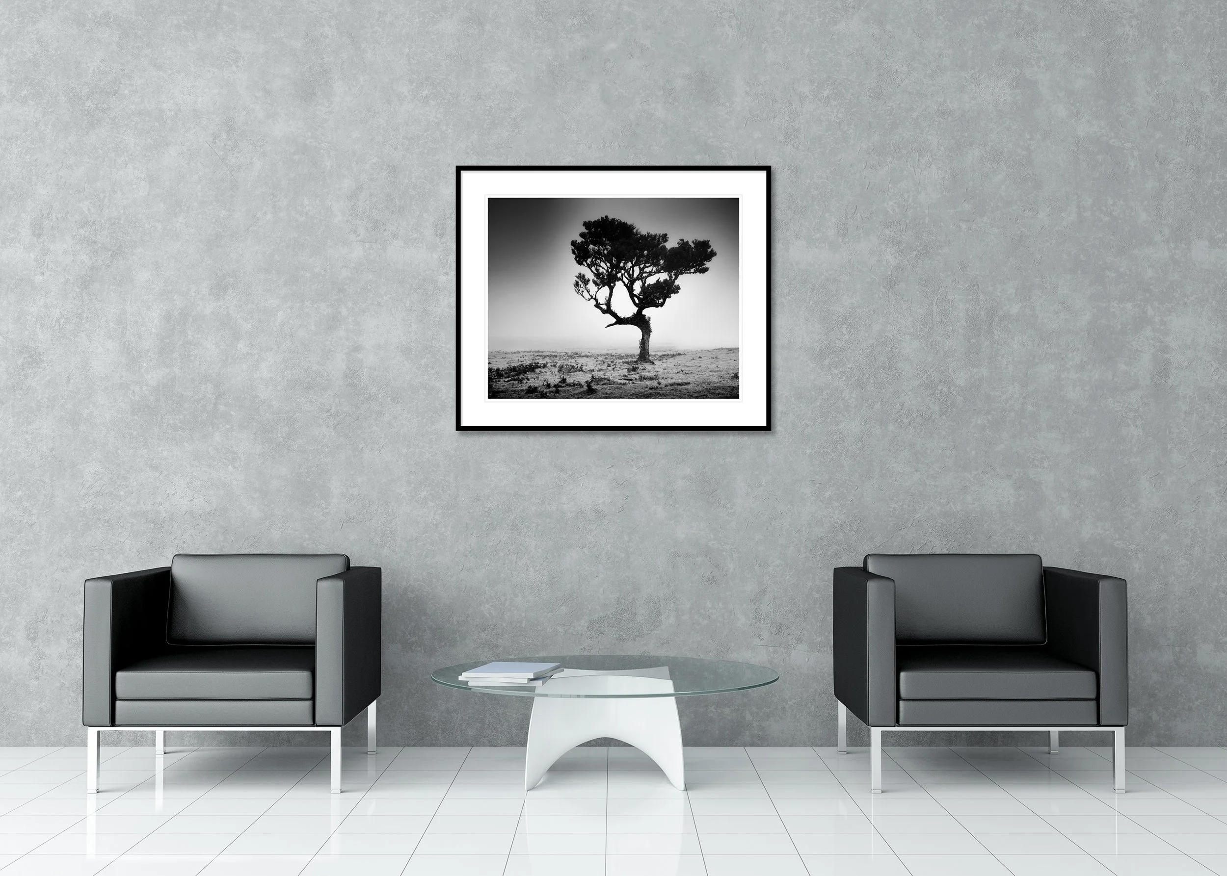 Solitary windswept tree in a foggy, barren landscape, black and white minimalist nature photograph – archival pigment print in a classic frame with passe-partout.