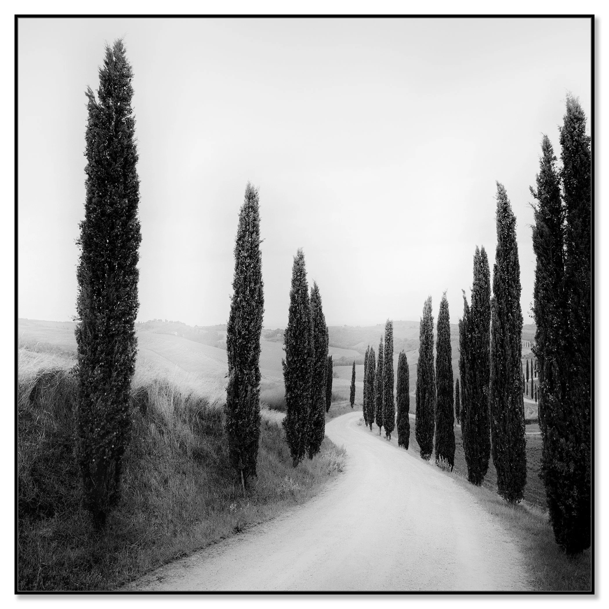 Path Lined with Cypress Trees by Gerald Berghammer shown in a black aluminium ArtBox frame.