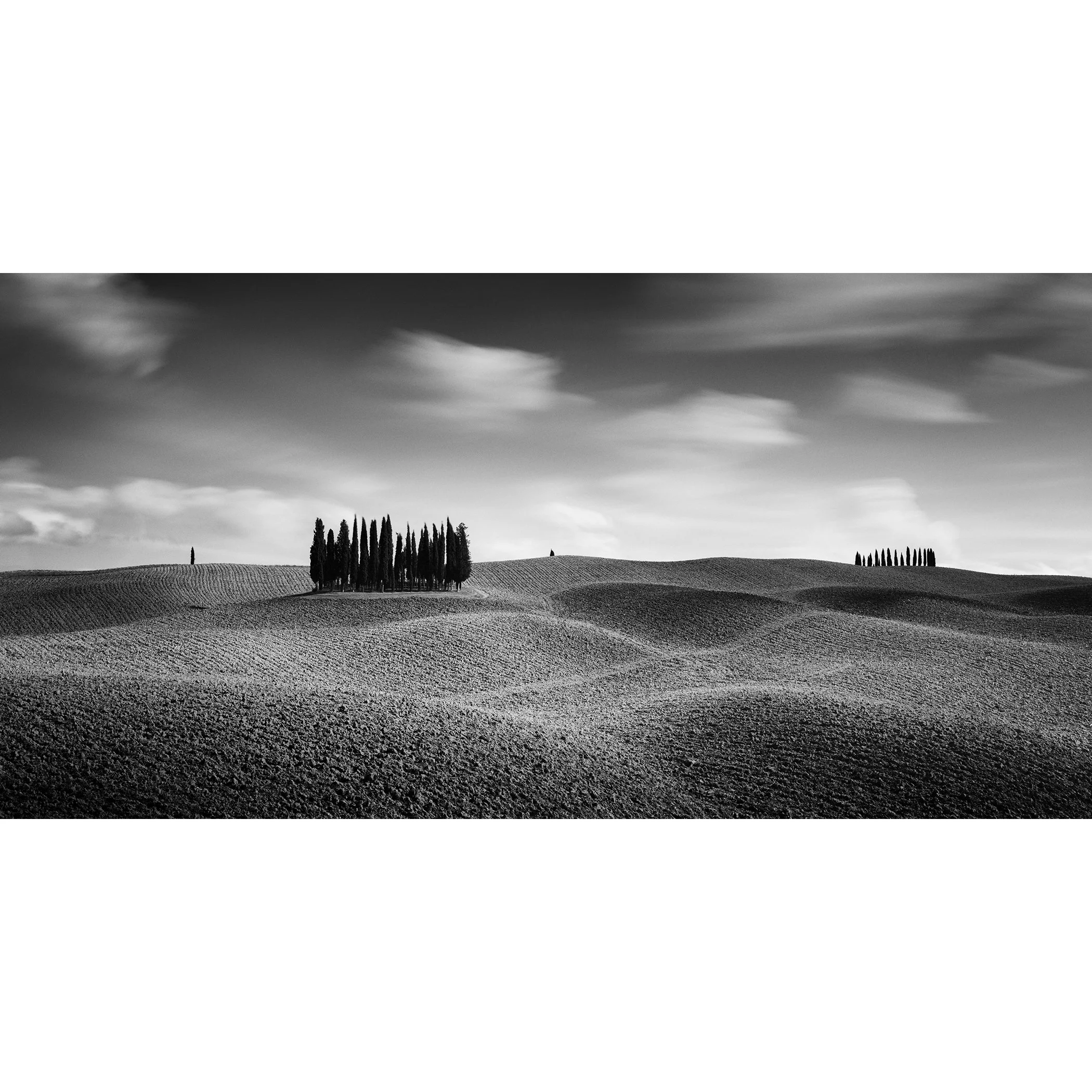 © 2020 Gerald Berghammer - Black and white Tuscan landscape photography. Rolling hills with two clusters of tall, thin trees in the distance, under a cloudy sky.