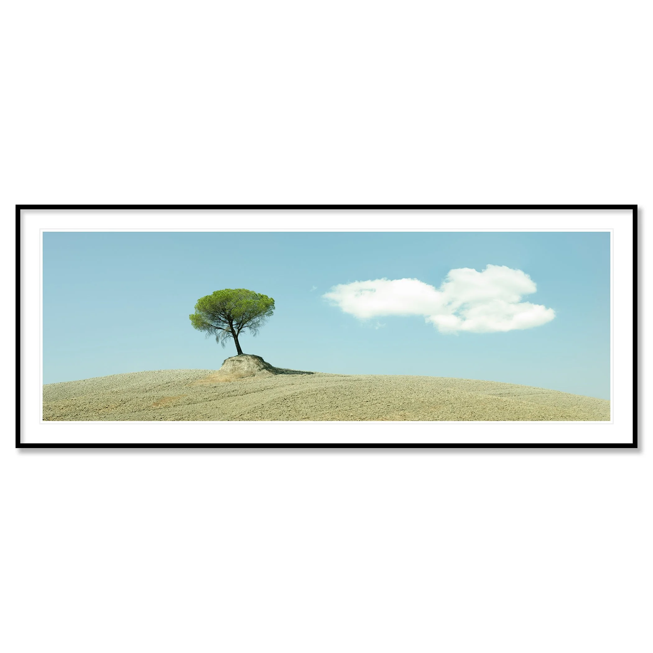 © 2021 Gerald Berghammer - Color minimalist Tuscany photo. Single tree growing on a small mound in a barren landscape under a blue sky with a few white clouds. Classic framed black