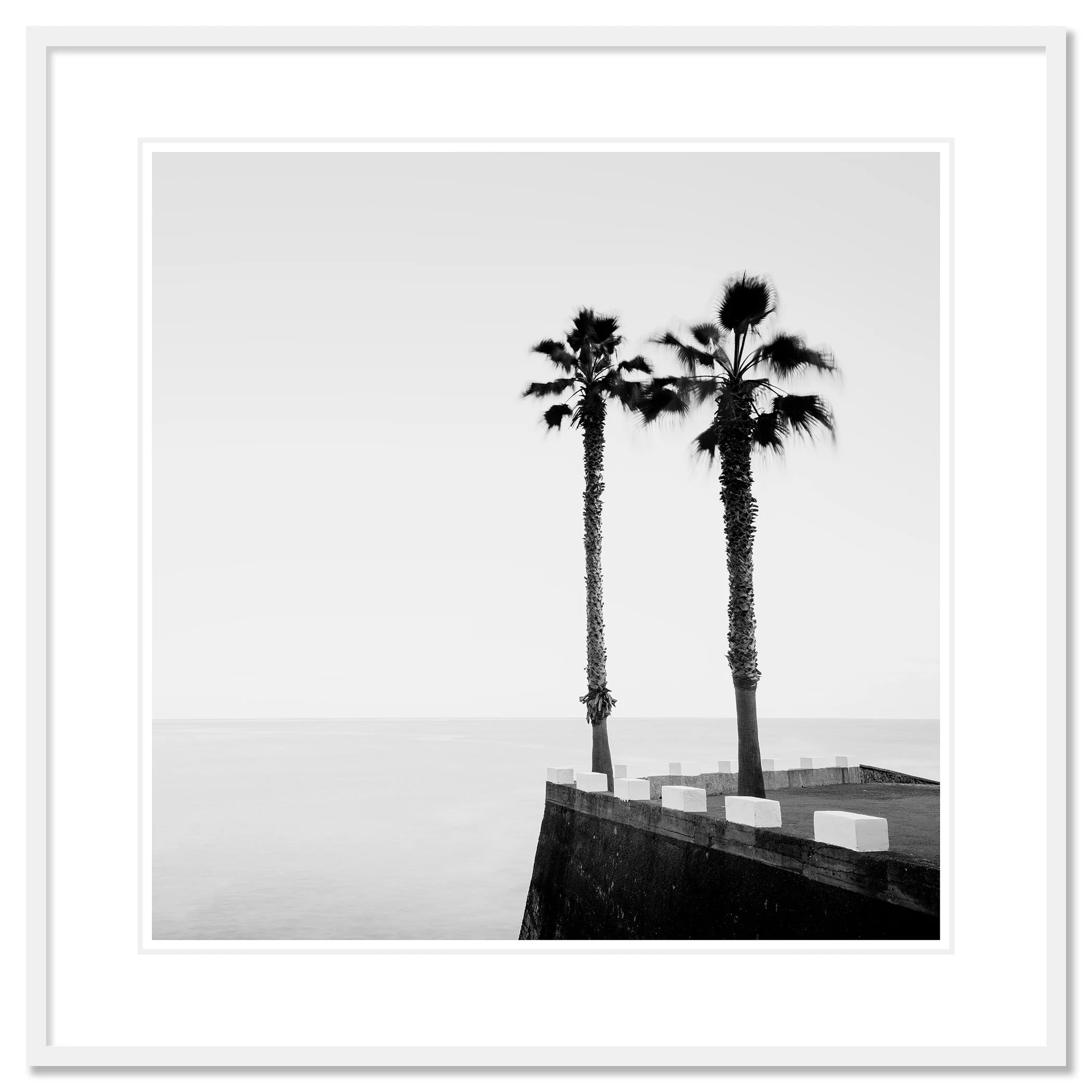 Parking Lot with Palm Trees by Gerald Berghammer, archival pigment print in a white aluminium frame with white mount.