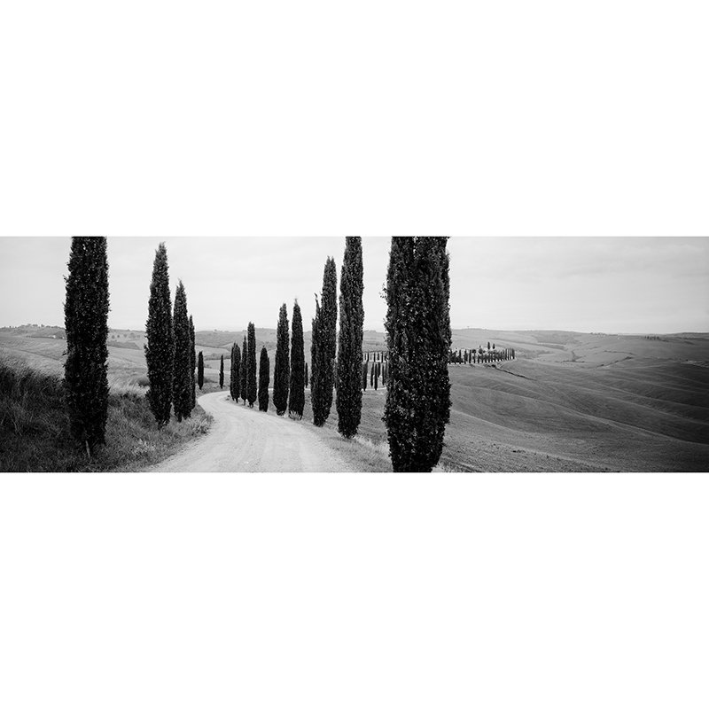 Gerald Berghammer - Cypress Path Panorama, Tuscany, Italy