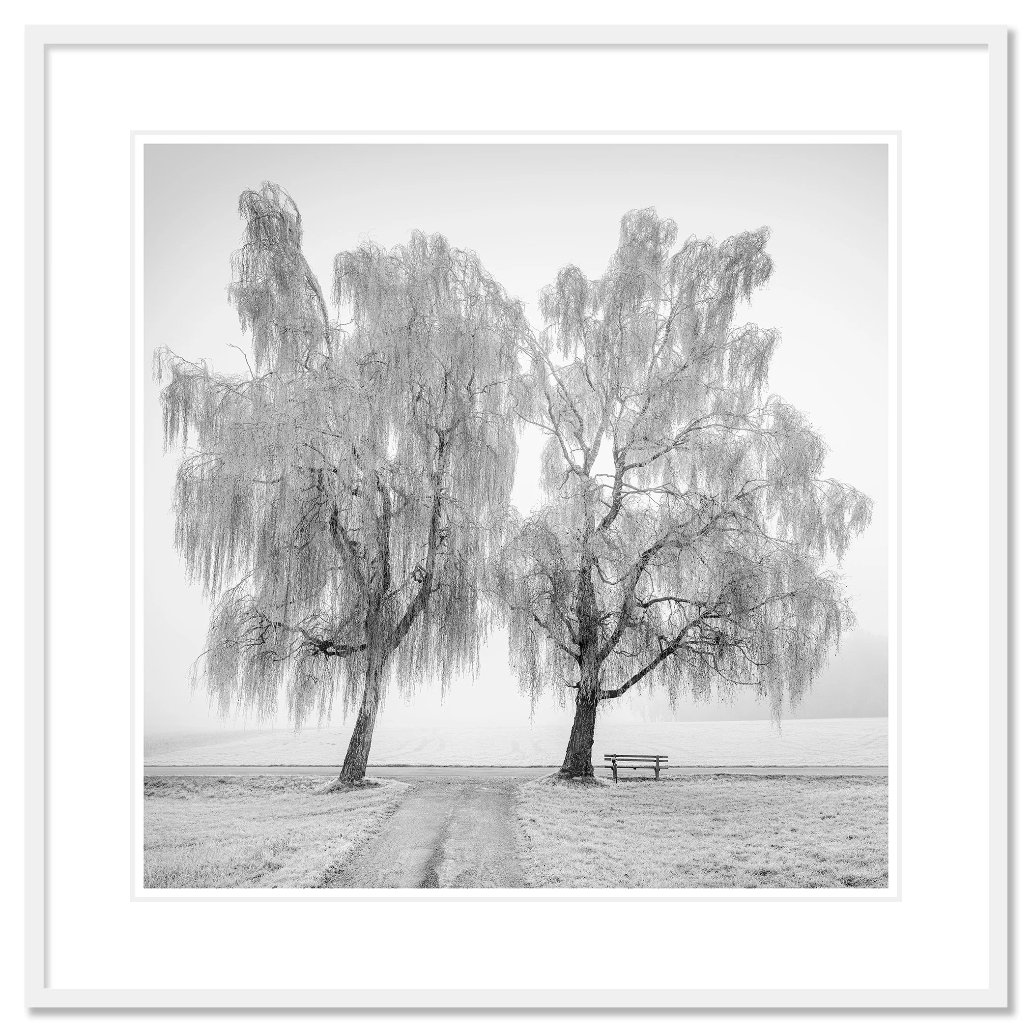 Place to Linger, Winter Study 1 as an archival pigment print in a white aluminium frame with a white mount by Gerald Berghammer.