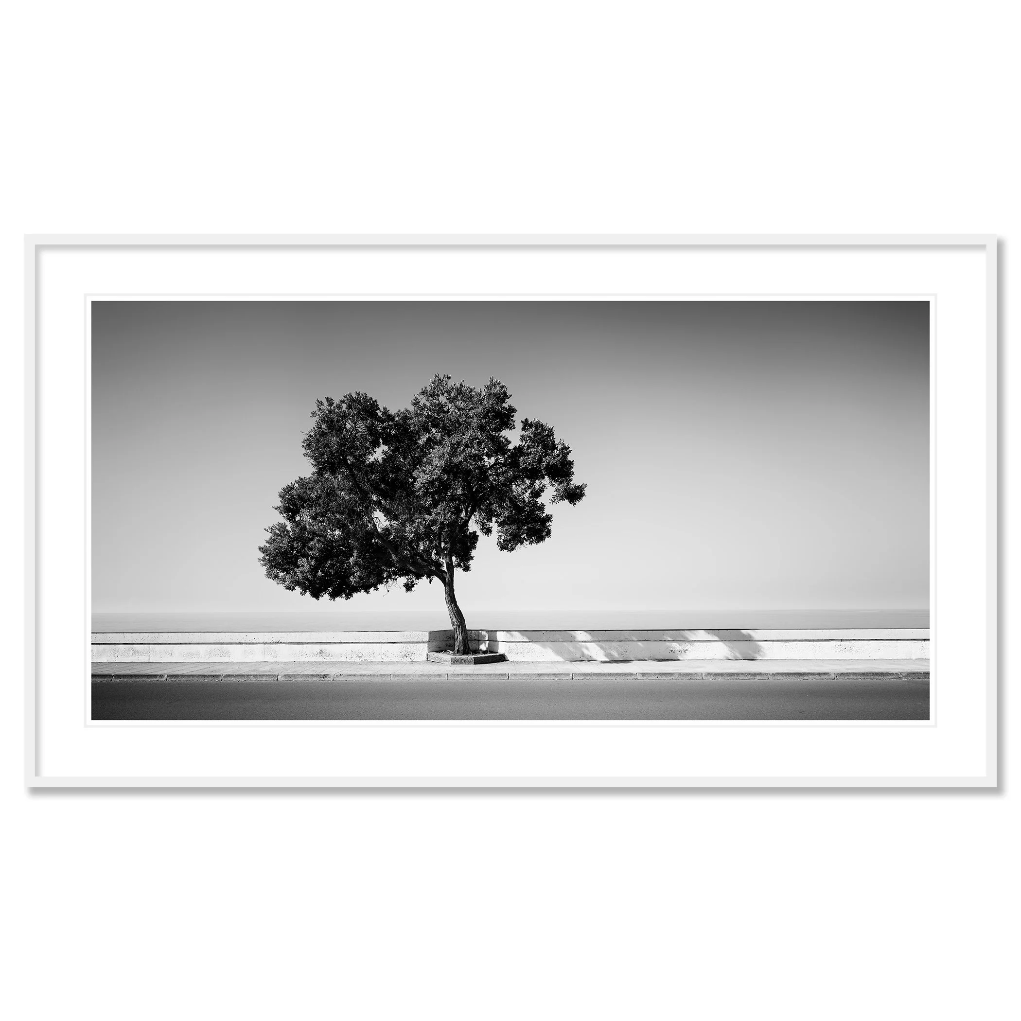 Tree by the Waterfront by Gerald Berghammer, black-and-white fine art print in a white aluminium frame with white mount.