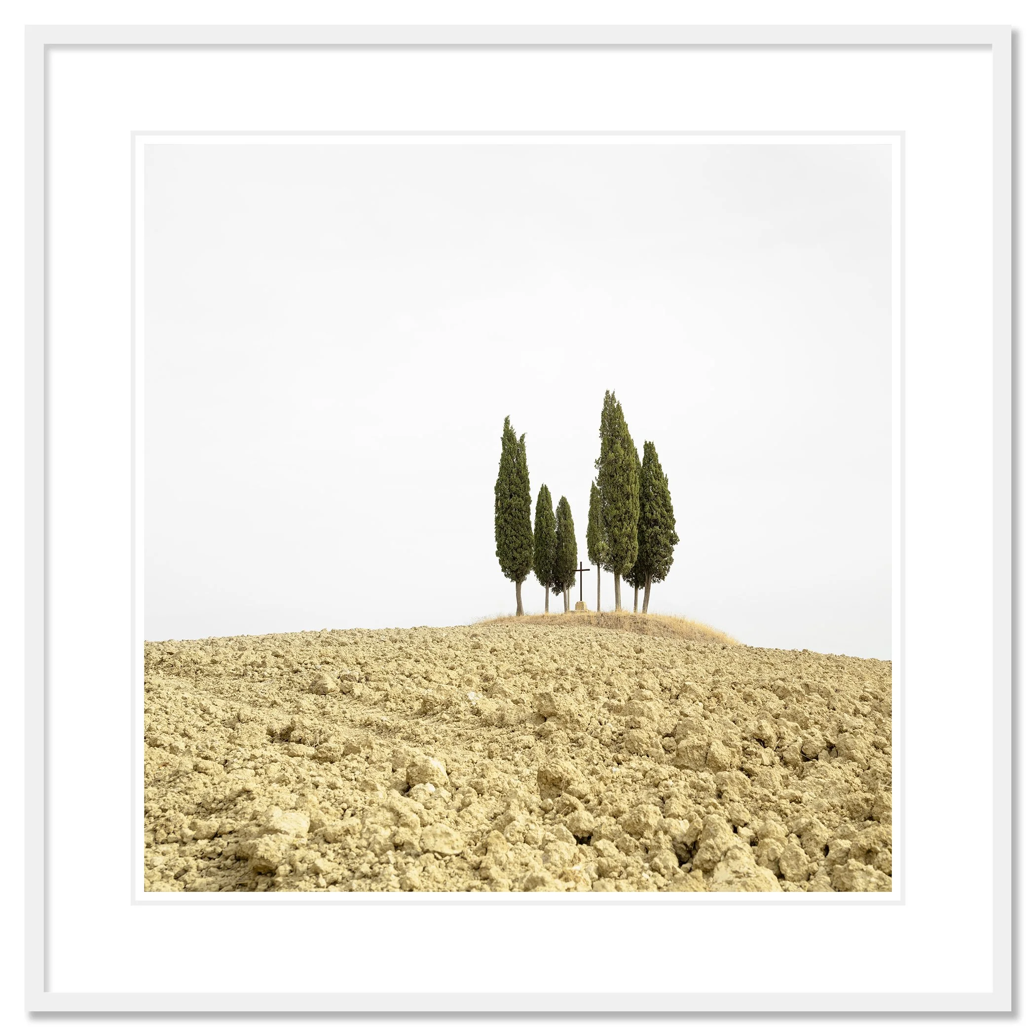 © 2024 Gerald Berghammer - Color minimalist landscape photography. A small group of tall, slender cypress trees on a dry, barren hilltop against a cloudy sky. Classic framed white