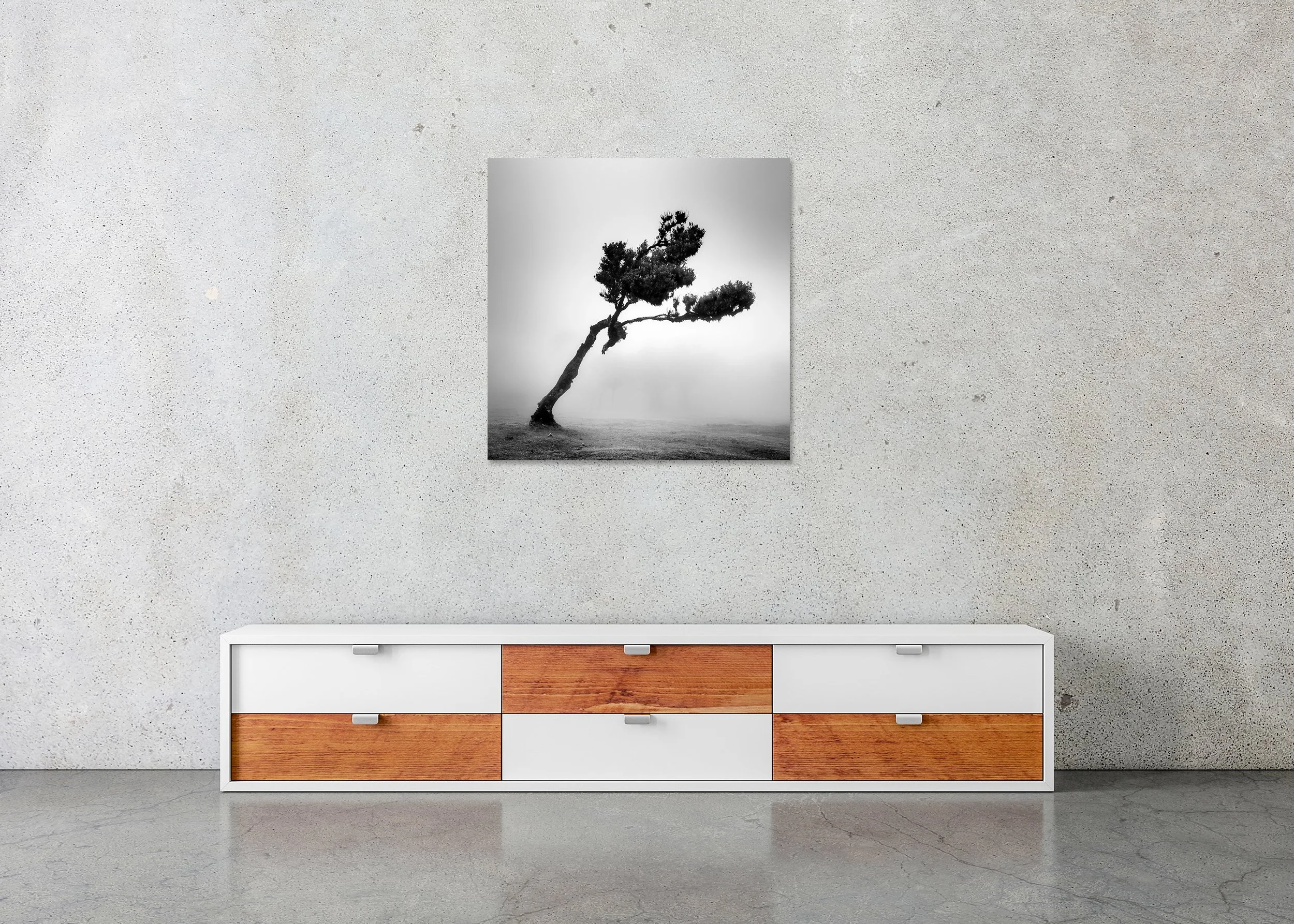Deer in Fairy Forest Study 1 displayed in a minimalist interior as a frameless black-and-white photographic print on aluminium Dibond by Gerald Berghammer.