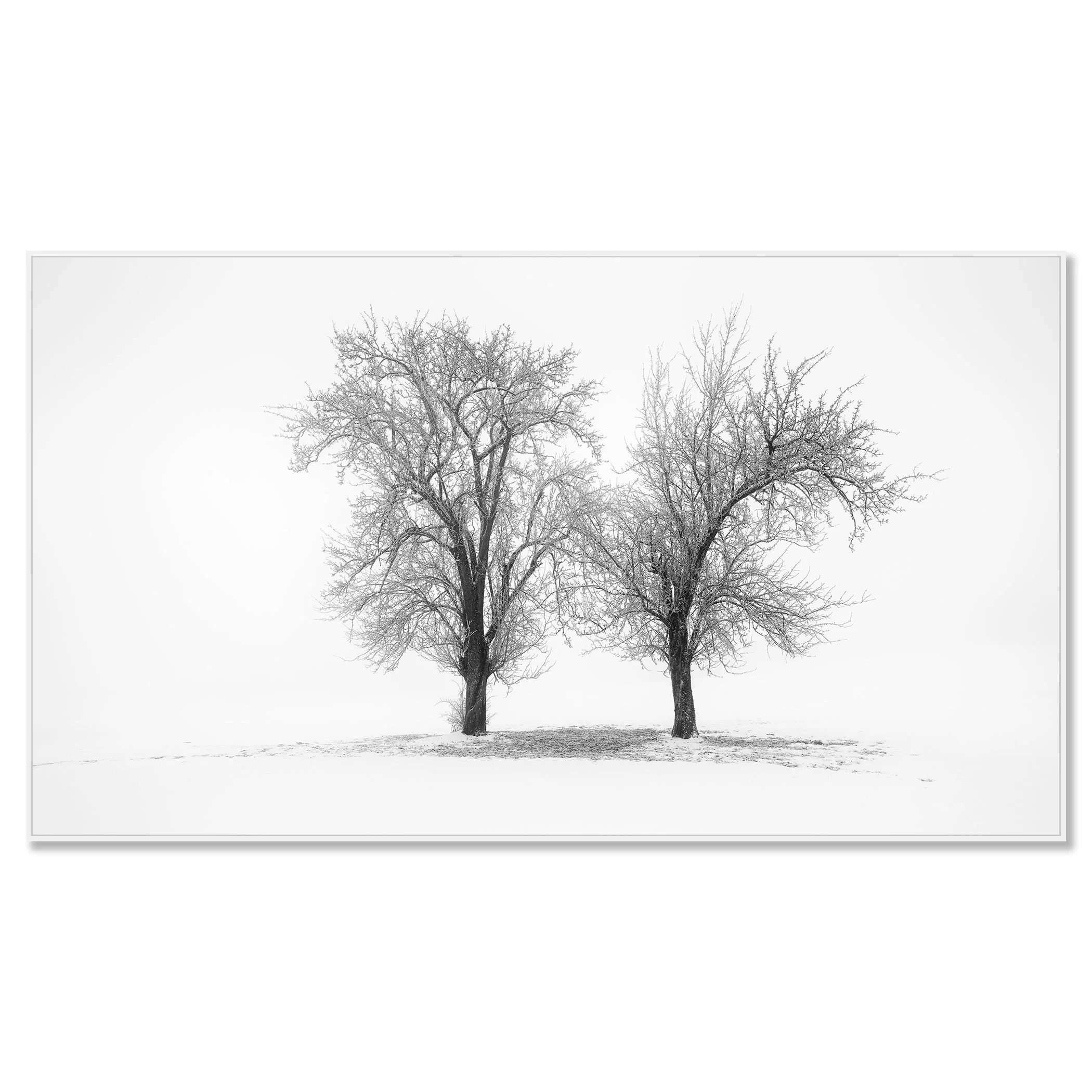 Still Winter Morning Study 1 by Gerald Berghammer mounted on aluminium Dibond in a white ArtBox frame.