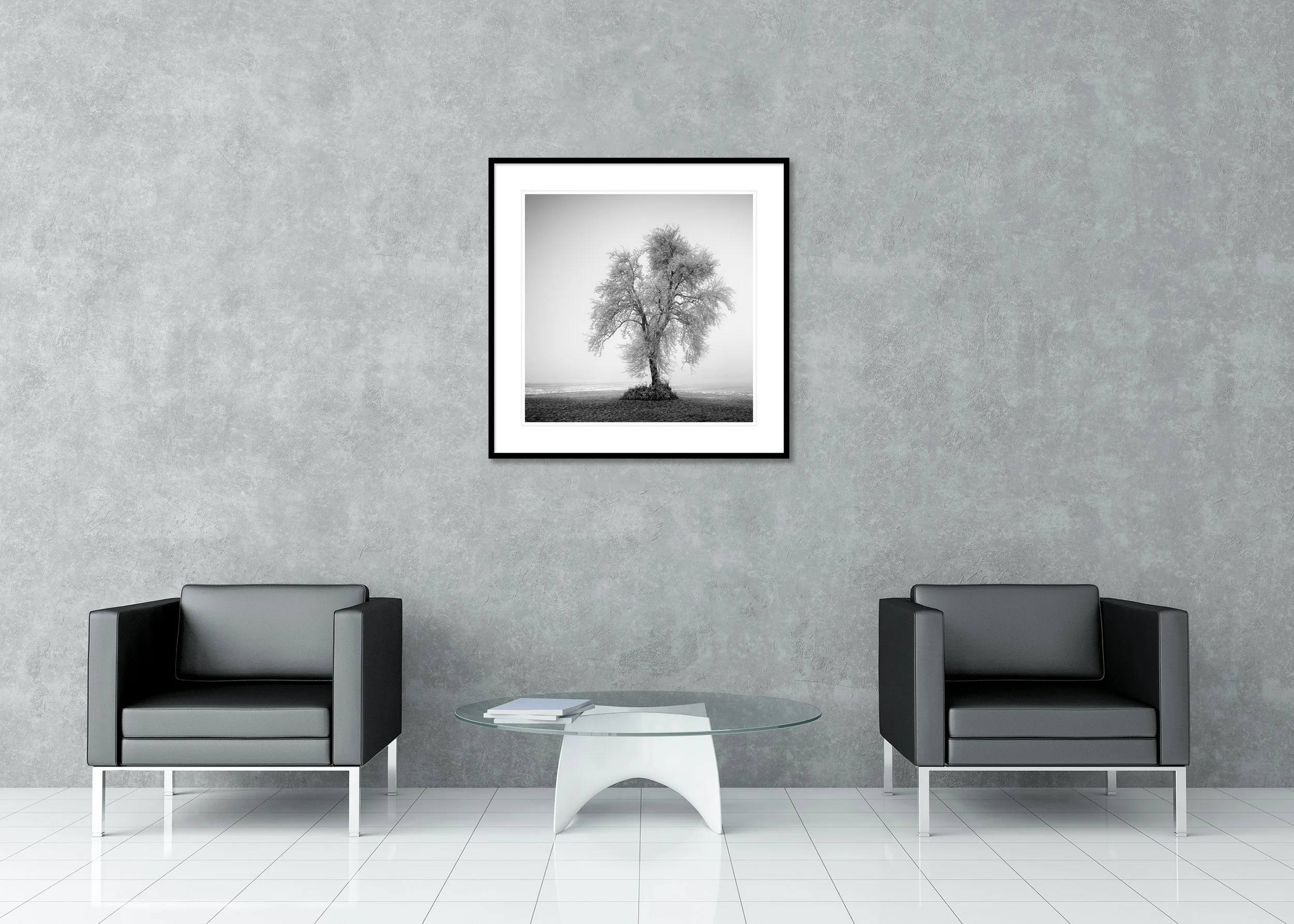 Bare frost-covered tree in a foggy winter field, black-and-white archival pigment print in a classic frame with a mount.