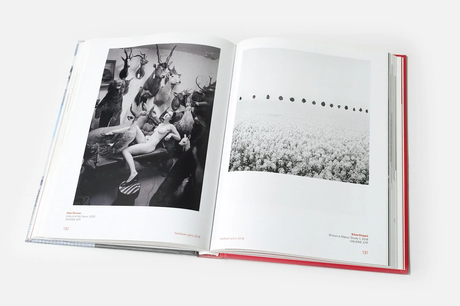 FotoFever Paris 2019 art book with Brassica Napus Study 1 by Gerald Berghammer, page 131.