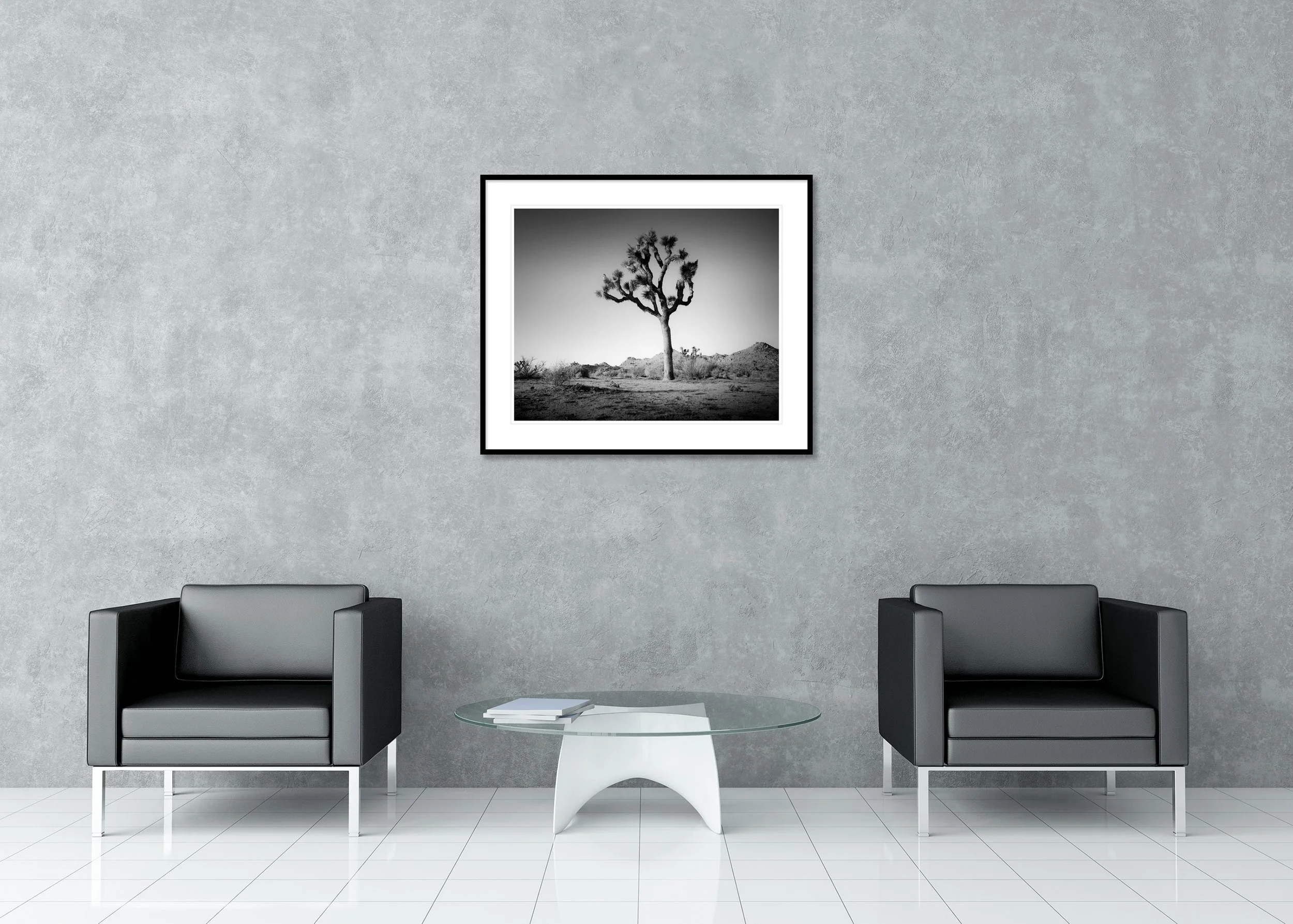 Gerald Berghammer - Joshua Tree in Mojave Desert, landscape, California, USA, Archival pigment print, aluminium frame, passe-partout, anti reflex glass