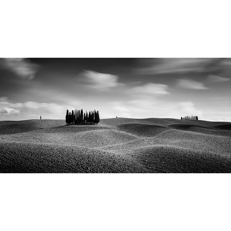 Gerald Berghammer - Cypress Hill Panorama Study 3, Tuscany, Italy