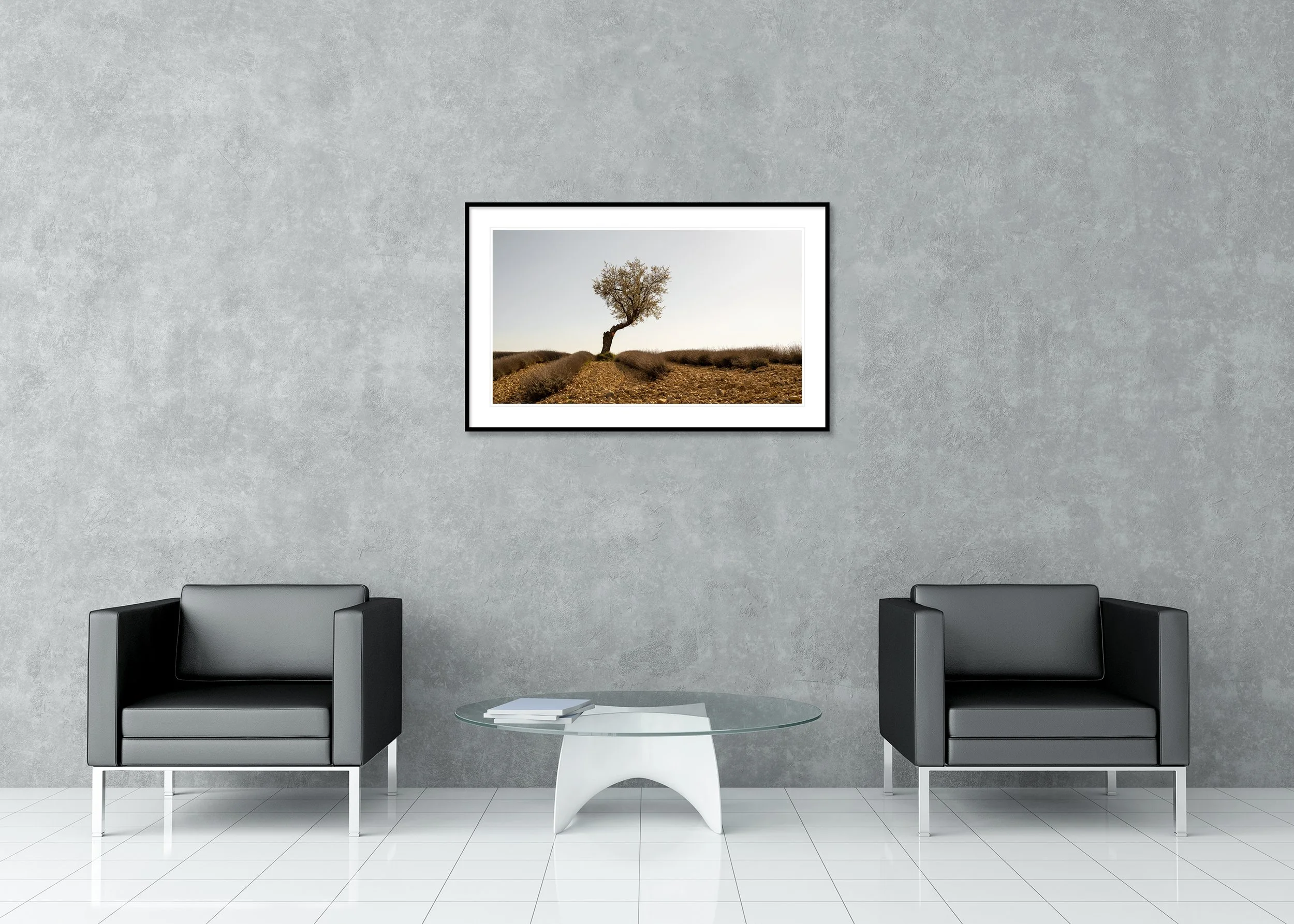Lavender Field with Tree, Study 1 – archival pigment print in an aluminium frame with a white mount, displayed in a modern interior.