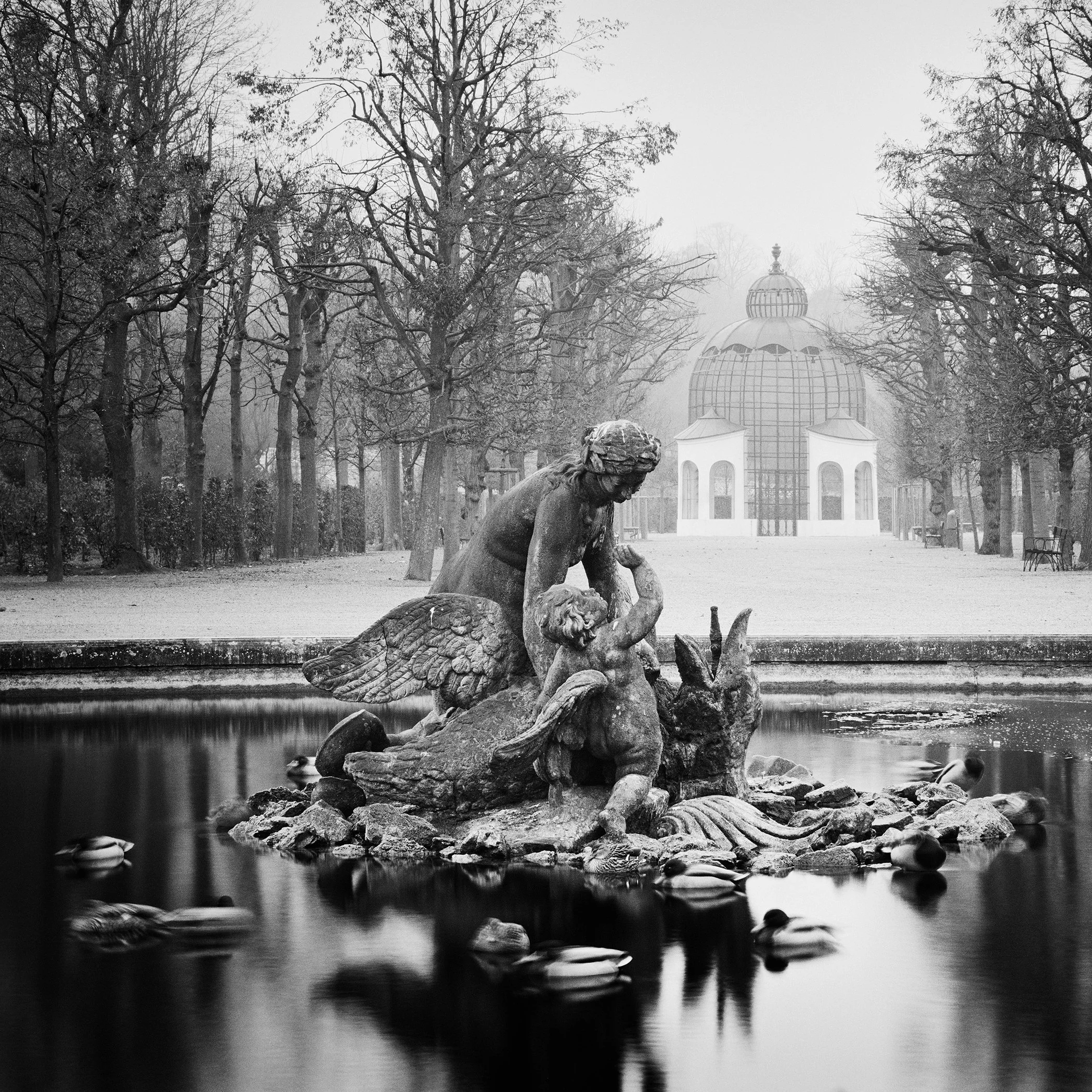 Duck Race by Gerald Berghammer, black-and-white analogue photograph of the Najadenbrunnen at Schönbrunn Palace, Vienna.