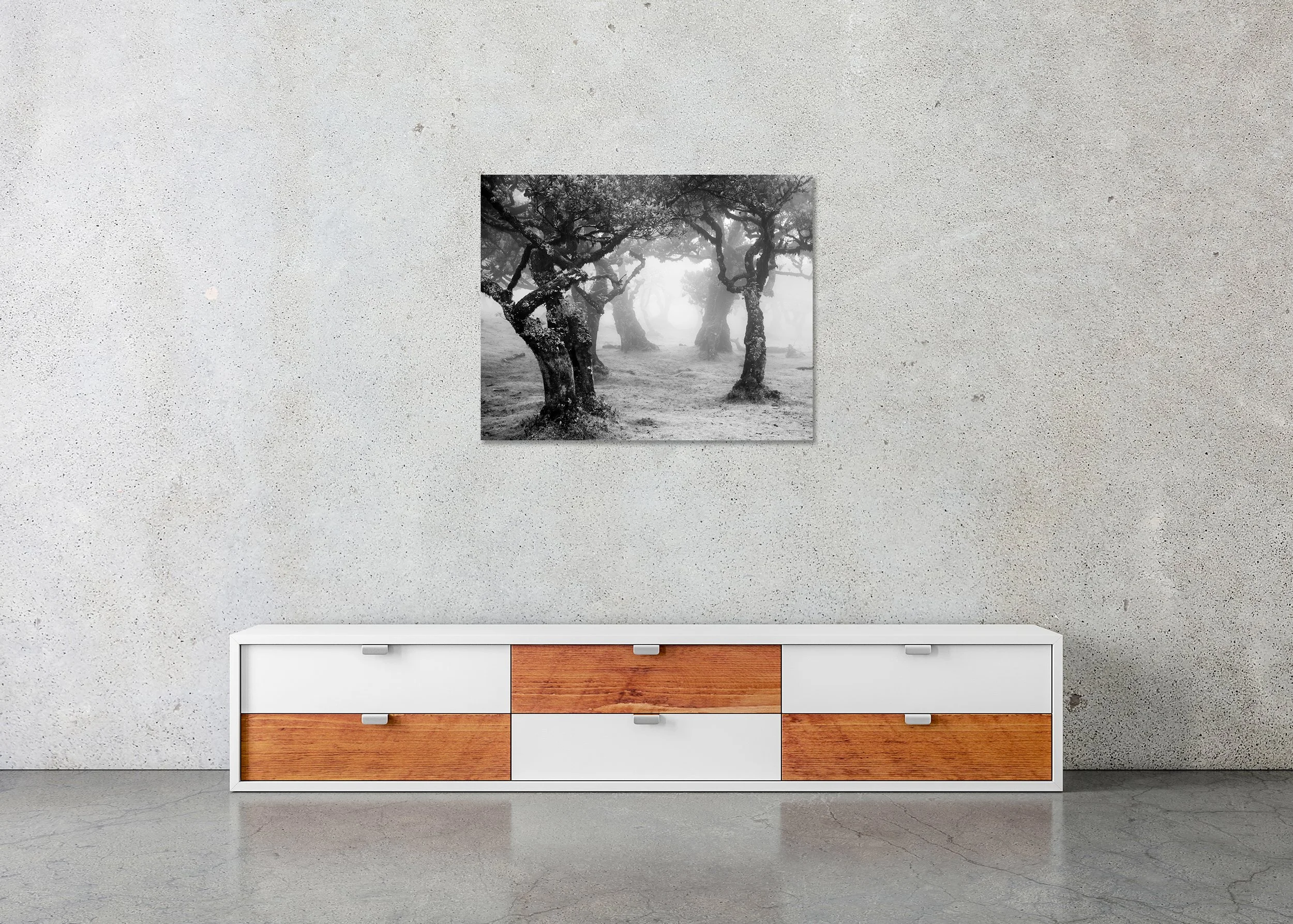 Mystical Forest Clearing – Madeira, frameless black-and-white photograph on aluminium Dibond displayed in a minimalist interior.