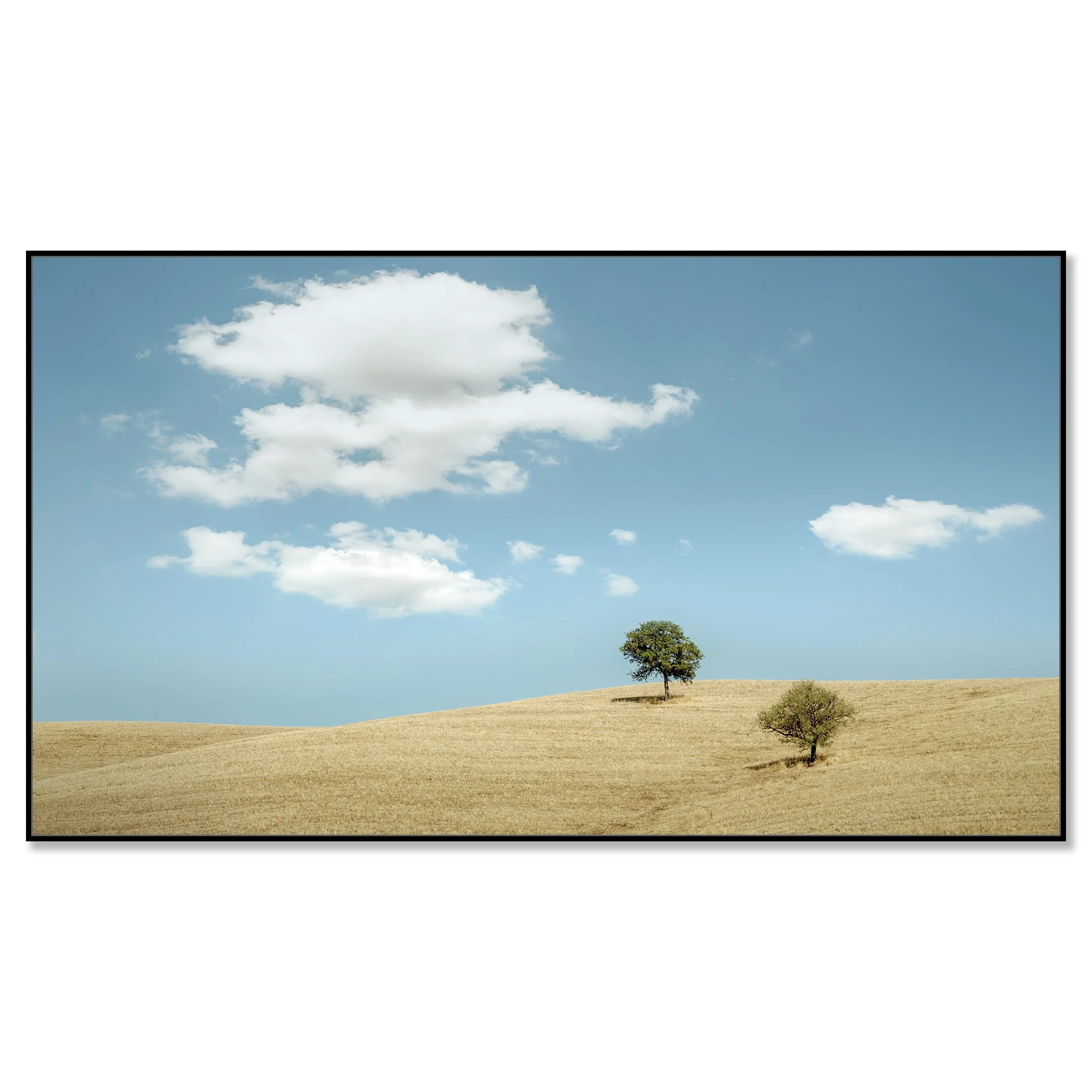 © 2021 Gerald Berghammer - Color minimalist Tuscany landscape photography. Two trees on a grassy hill under a blue sky with white clouds. Chromaluxe framed black